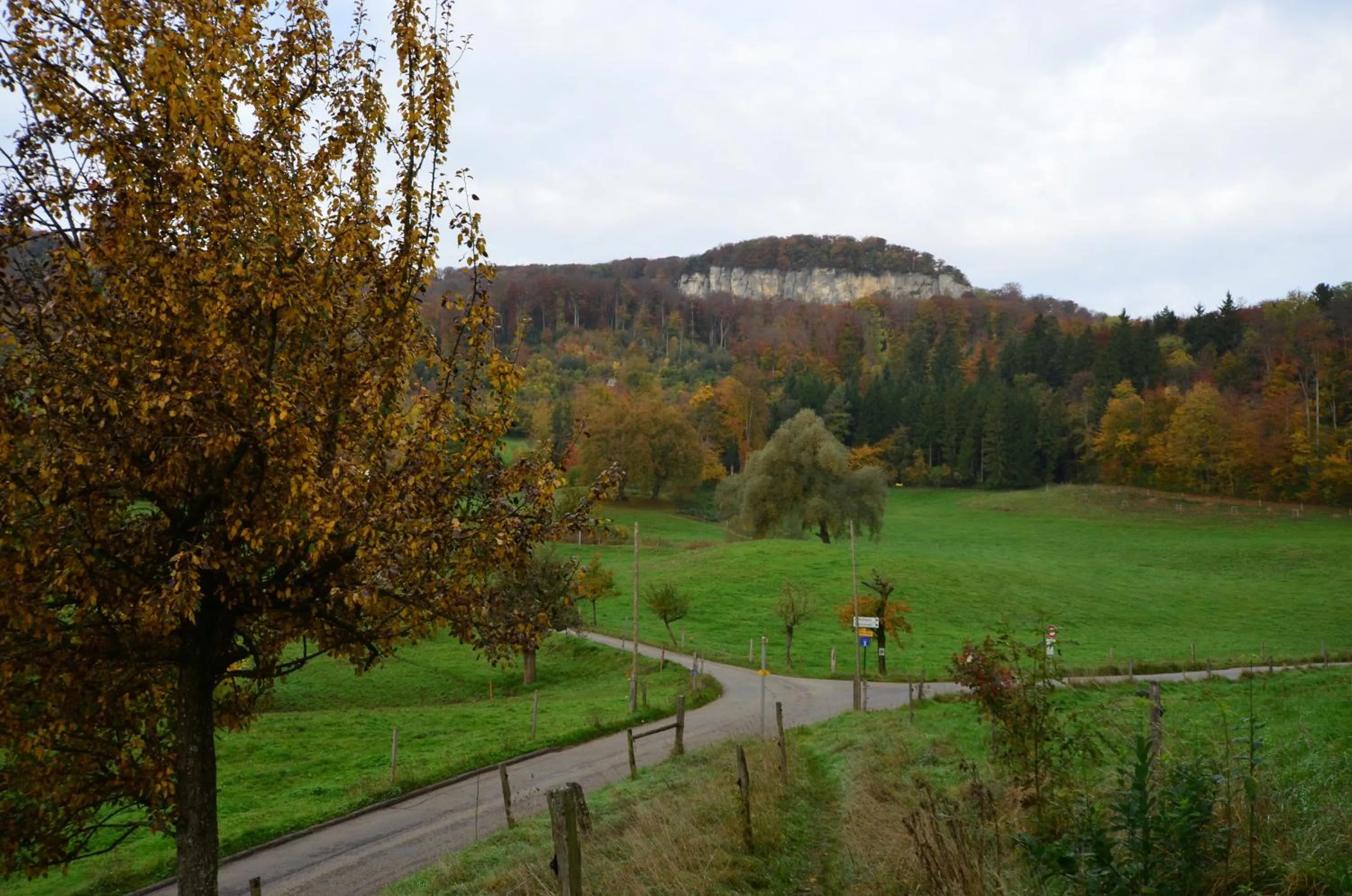 Day in Bad Schauenburg