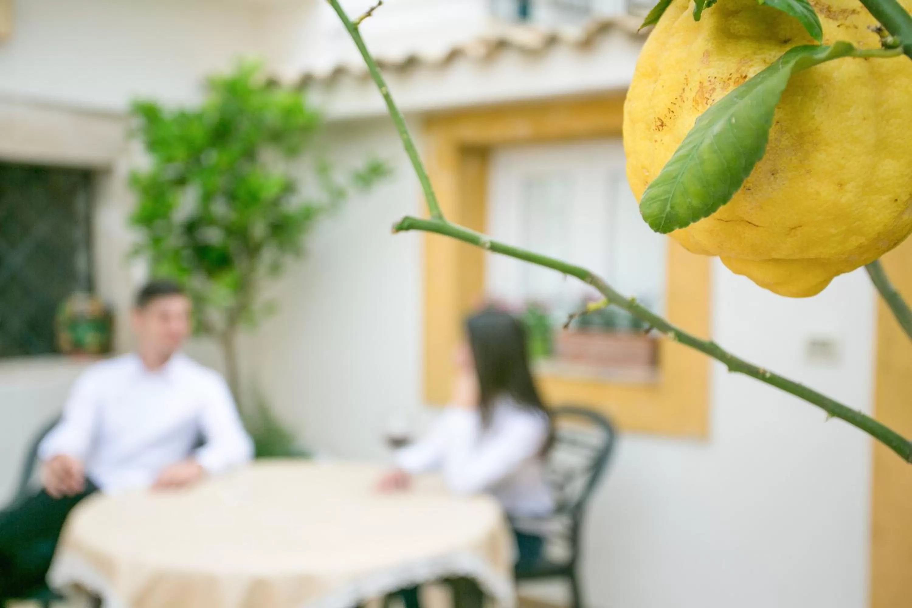 Balcony/Terrace in Alla Giudecca