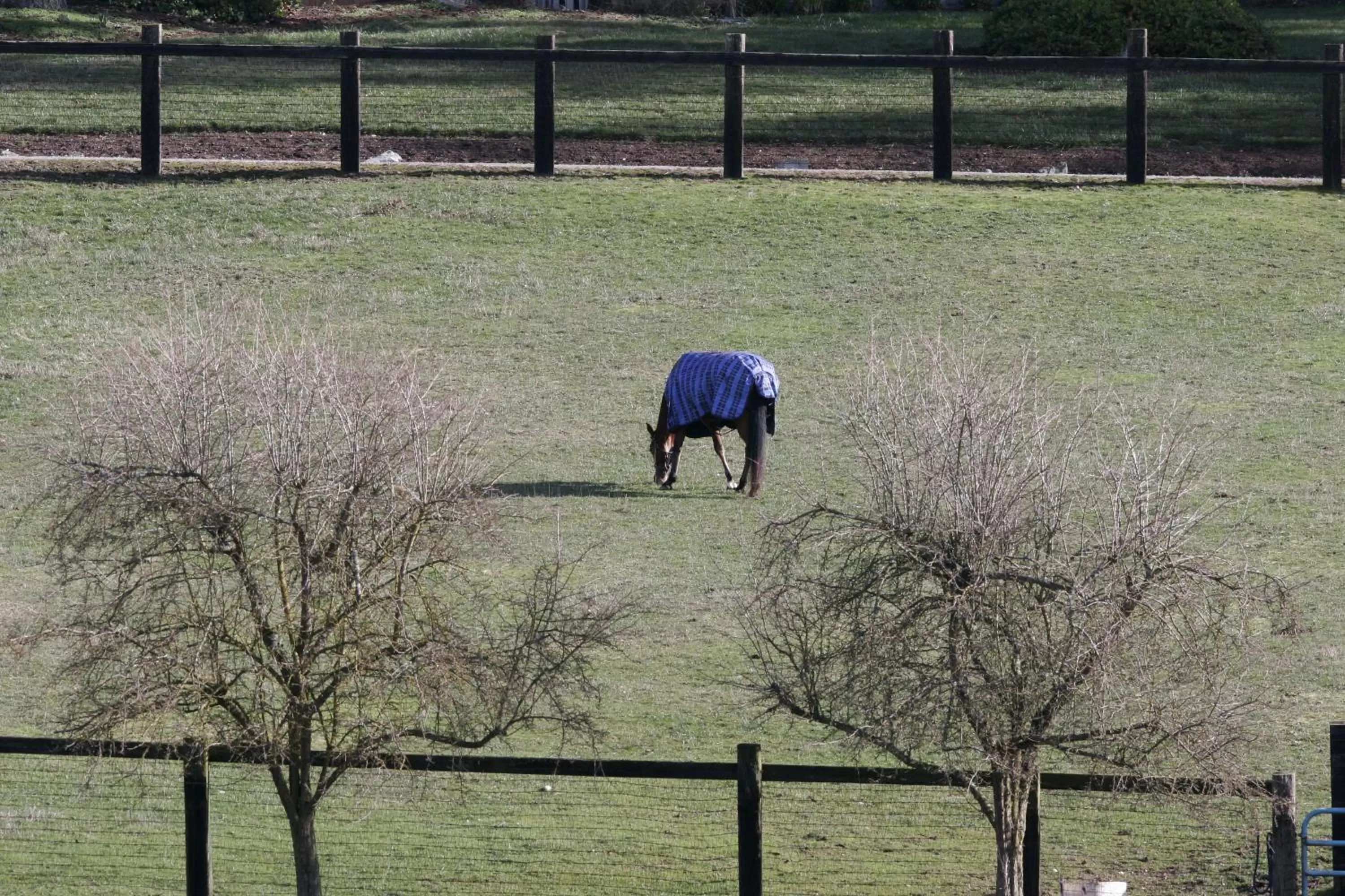 Other in Wildwood Farm Bed & Breakfast