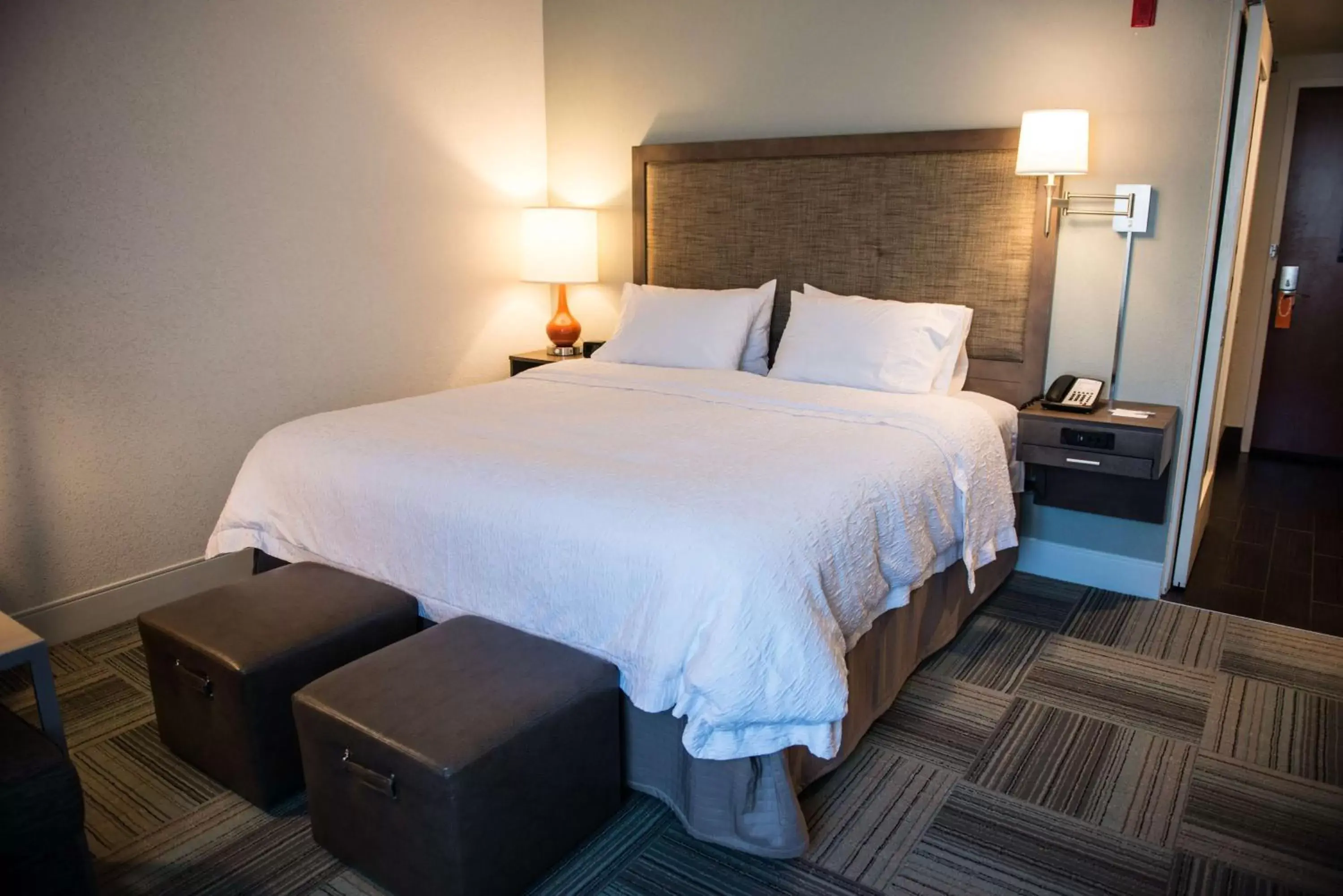 King Studio with Roll-In Shower - Mobility and Hearing Access/Non-Smoking in Hampton Inn Bainbridge, GA King Studio with Roll-In Shower - Mobility and Hearing Access/Non-Smoking in Hampton Inn Bainbridge, GA