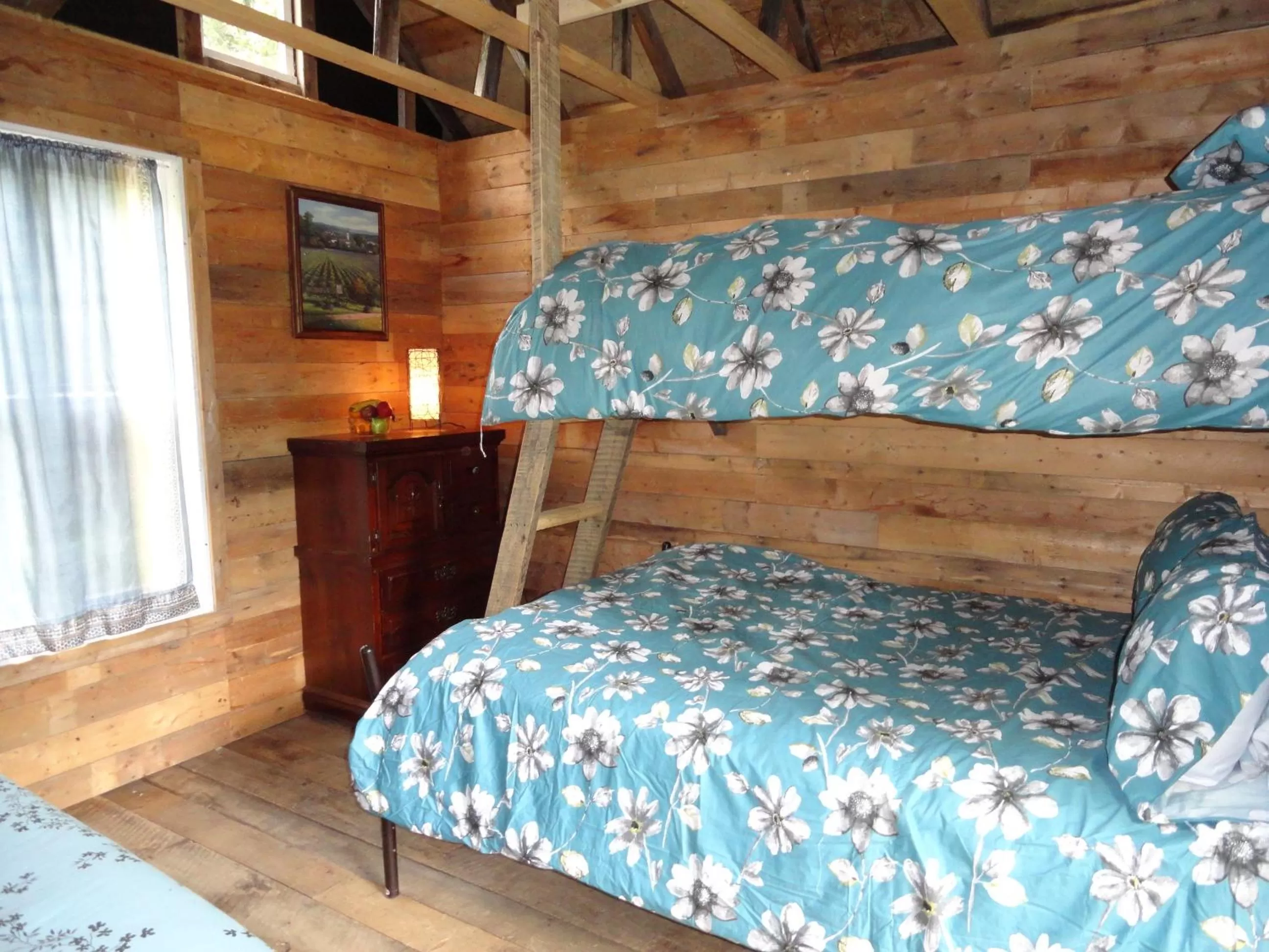 bunk bed, Bed in Auberge Carpe Diem