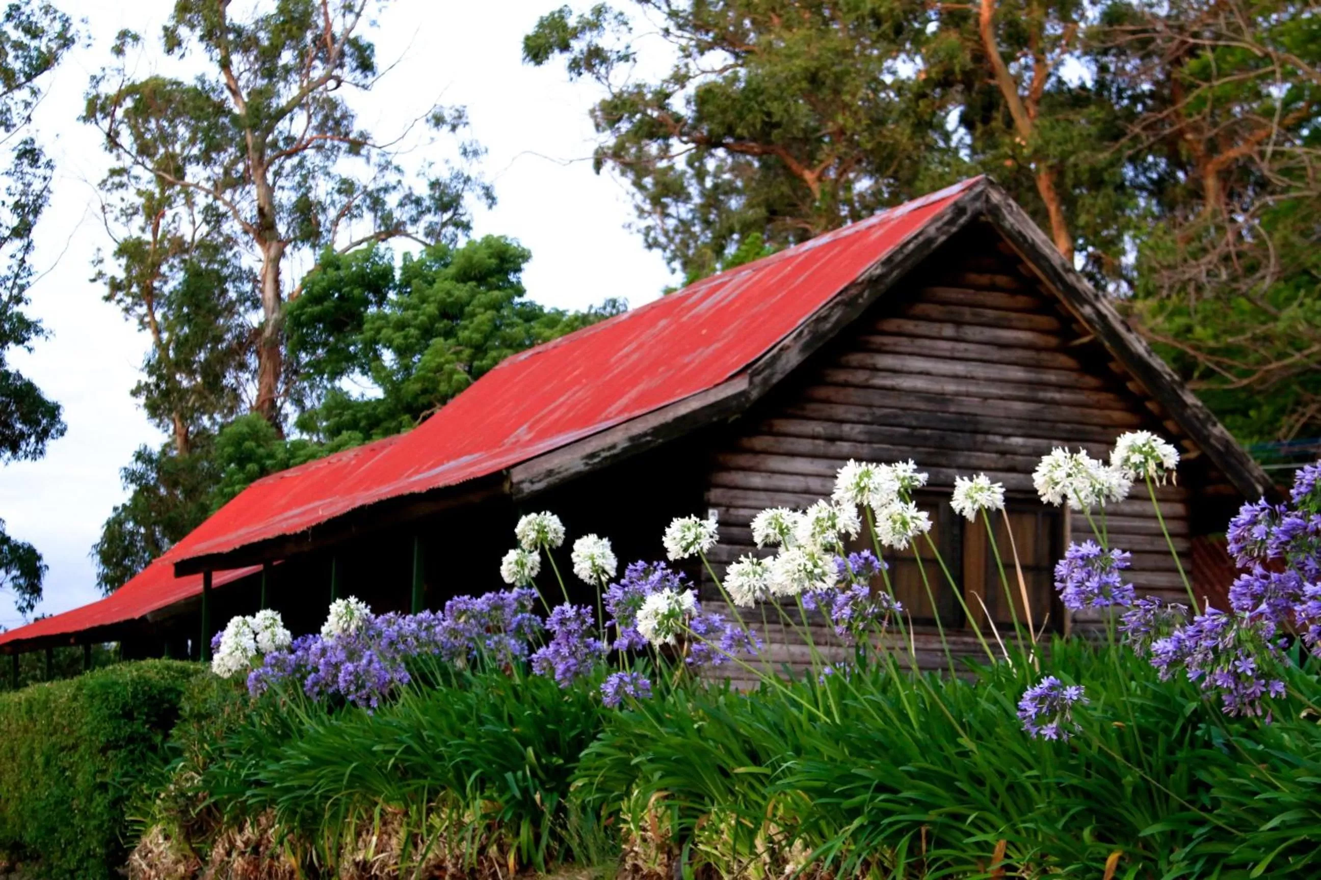 Property Building in Complejo Laderas del Cerro