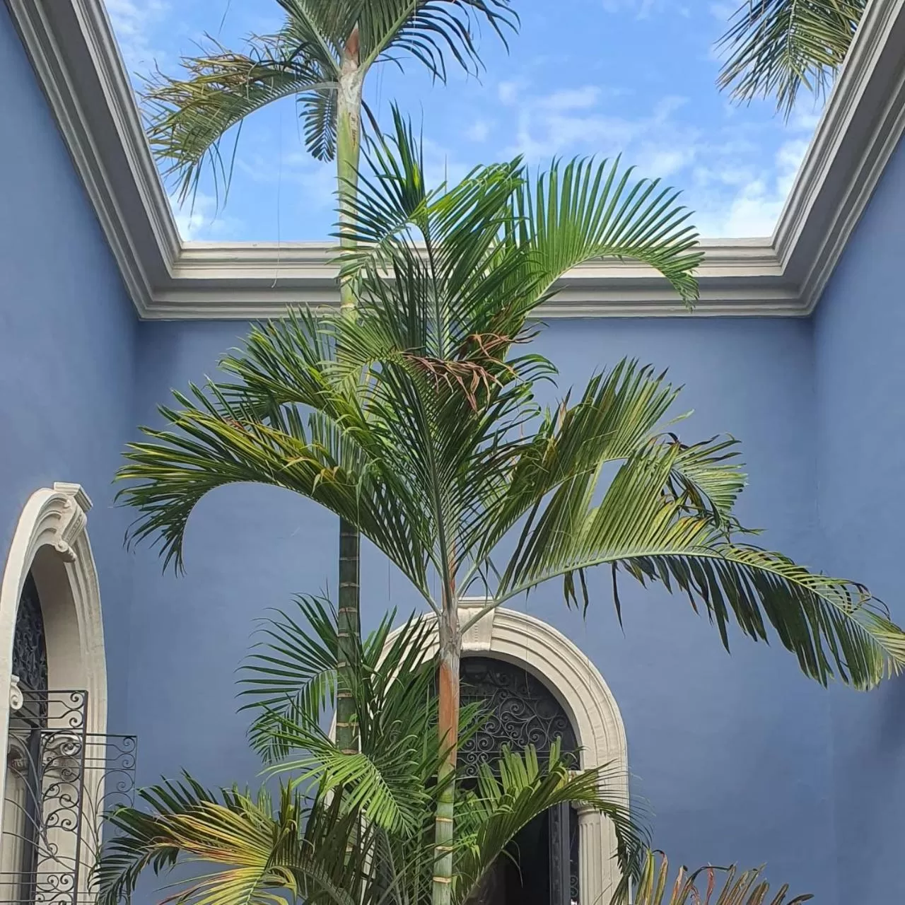 Property building in Künük Hotel Boutique