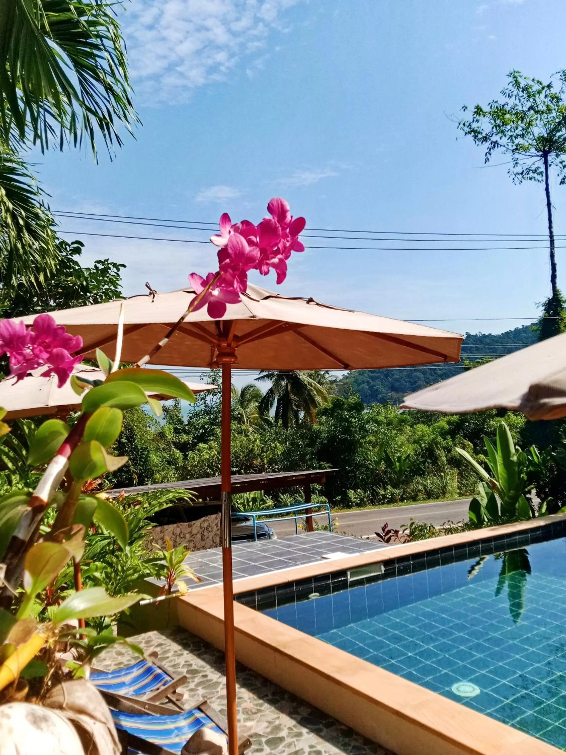 Privacy Resort - Koh Chang