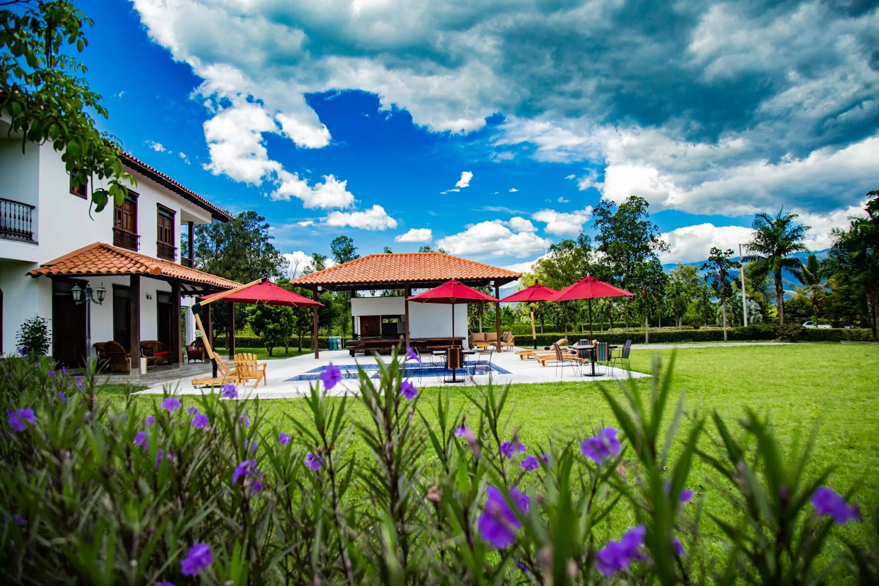 Garden in La Herencia Hotel