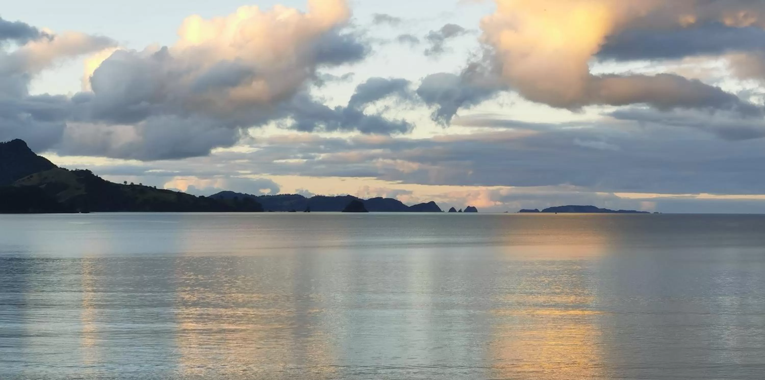 Waterfront Apartments Whitianga