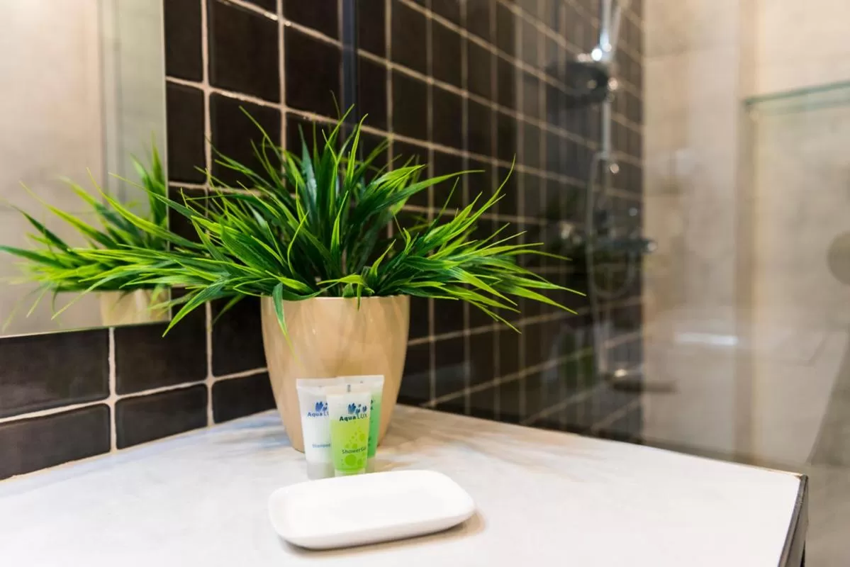 Shower in Sani Apart Hotel