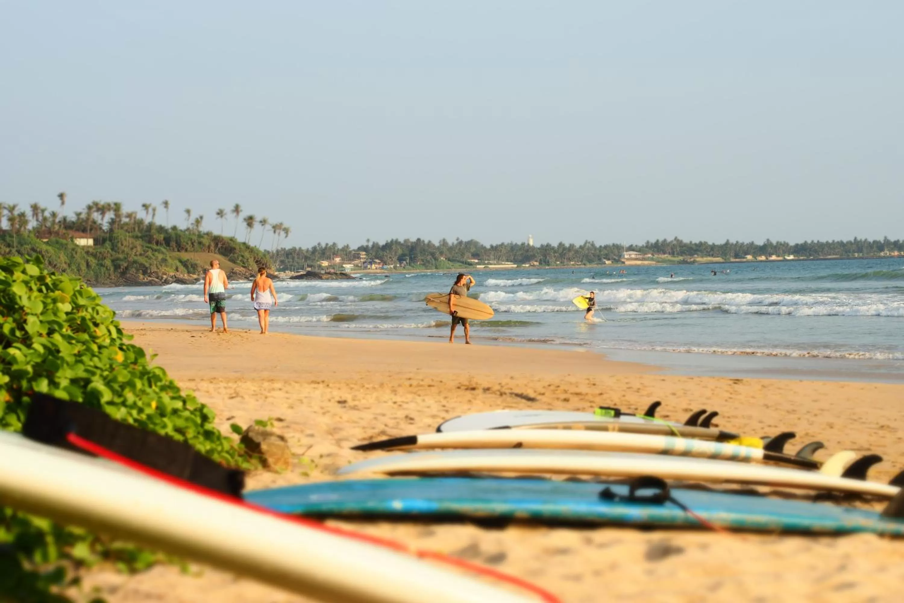 Beach in The Seascape
