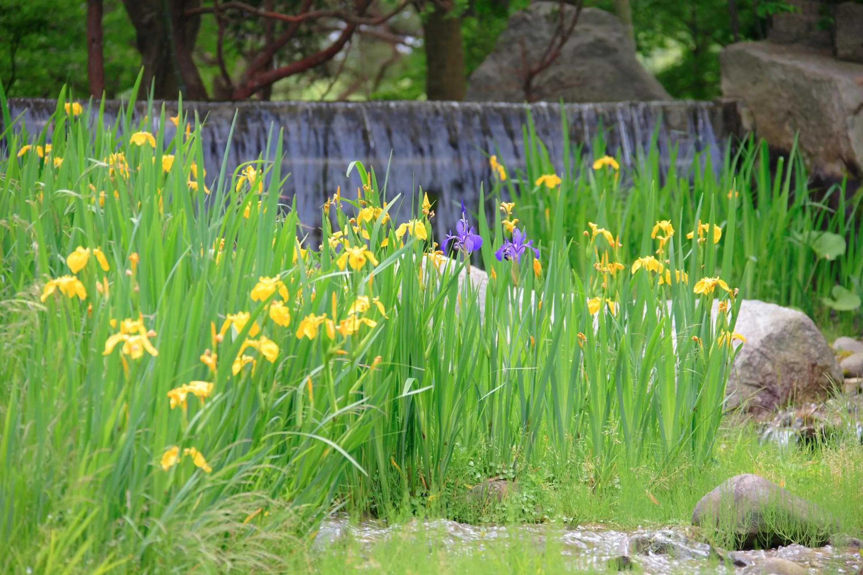 Decorative detail in Ryokusuitei