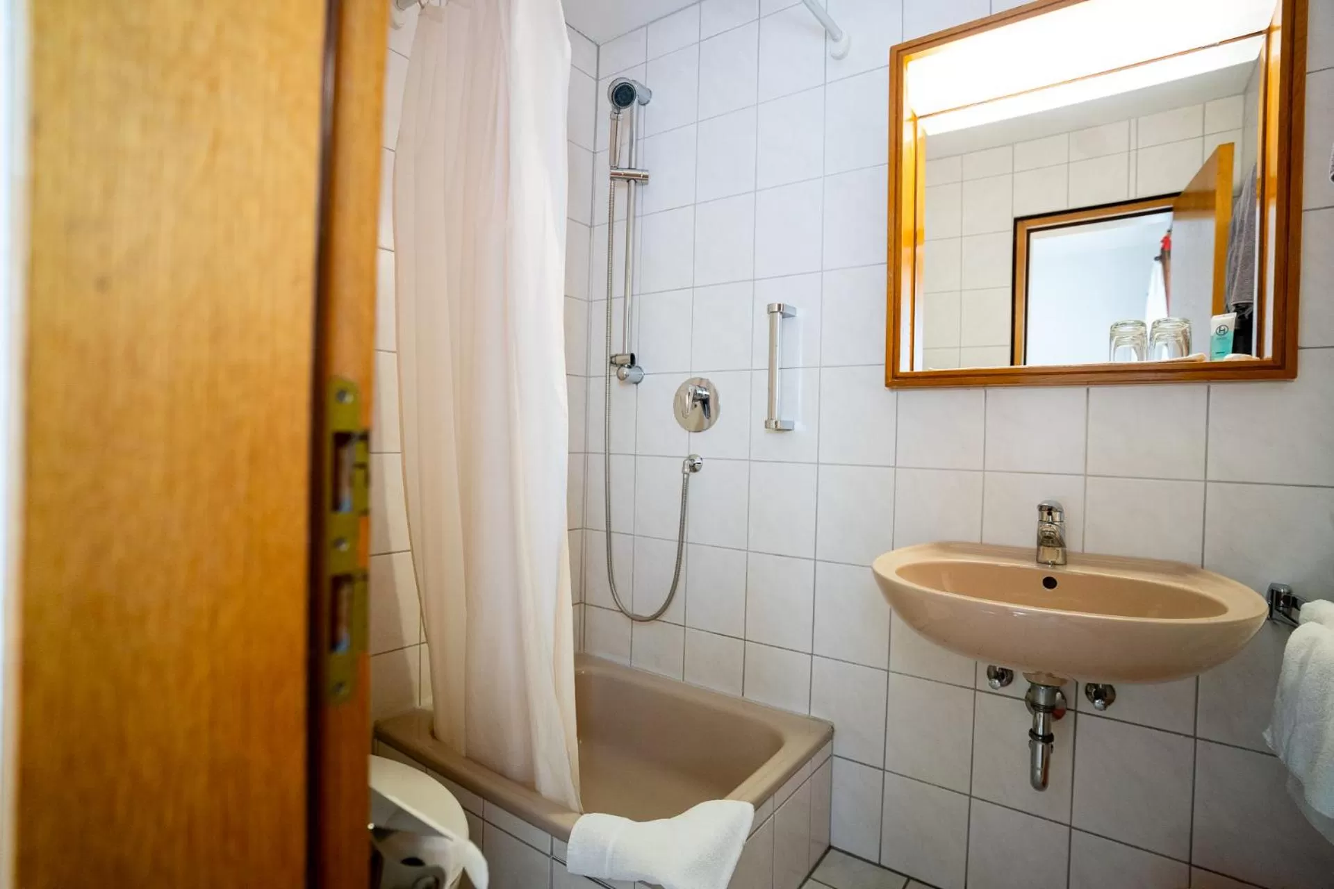 Bathroom in AP Hotel Viernheim am Kapellenberg