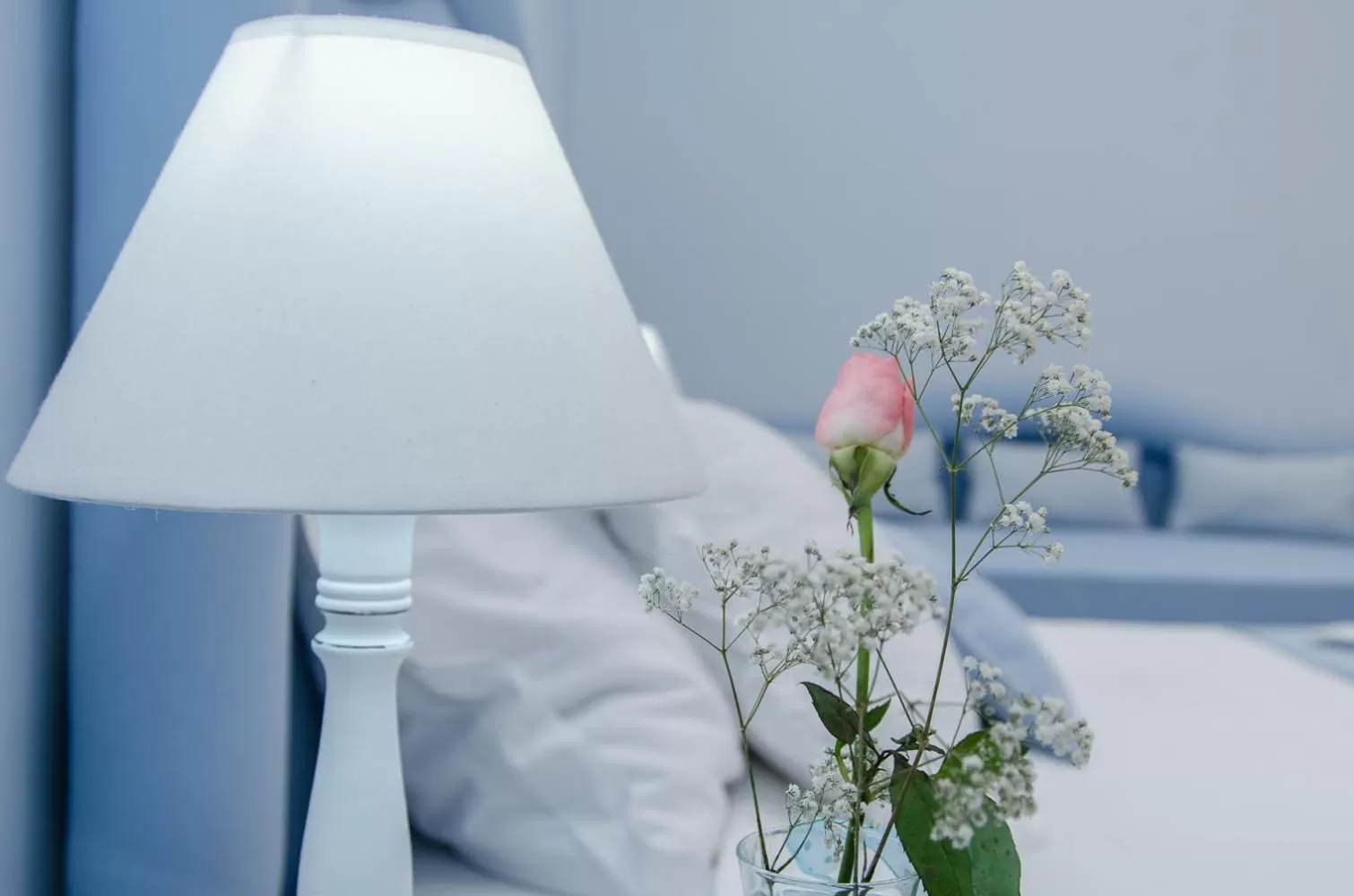 Decorative detail in Domus Rosa