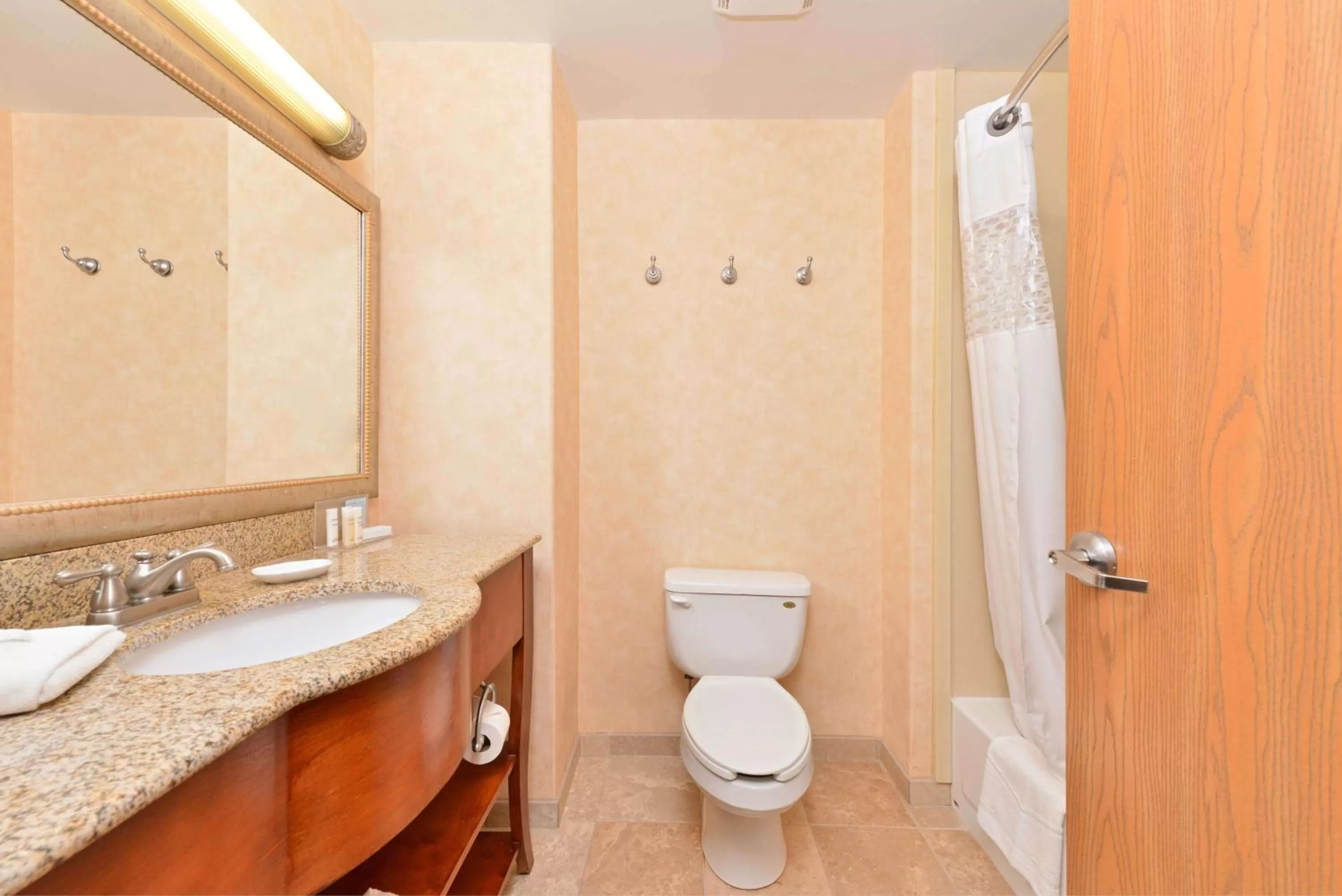 Bathroom in Hampton Inn Grand Island