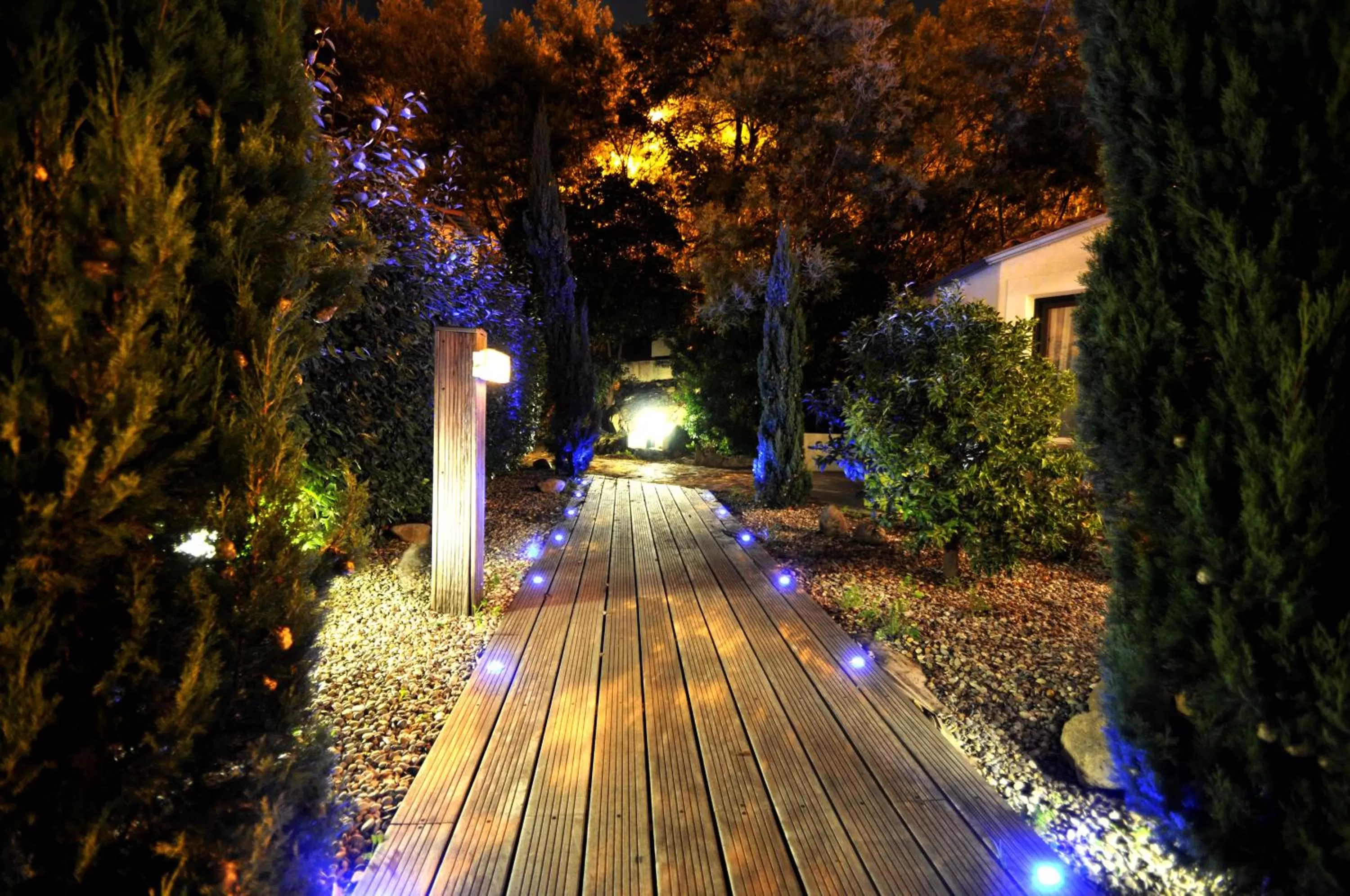 Garden in Hôtel Baptistin