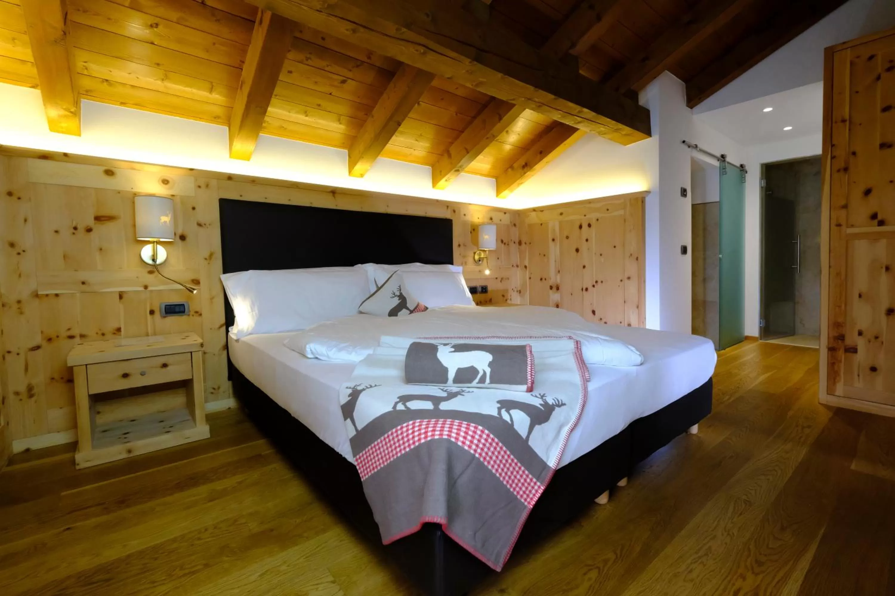 Photo of the whole room in Hotel Shandranj