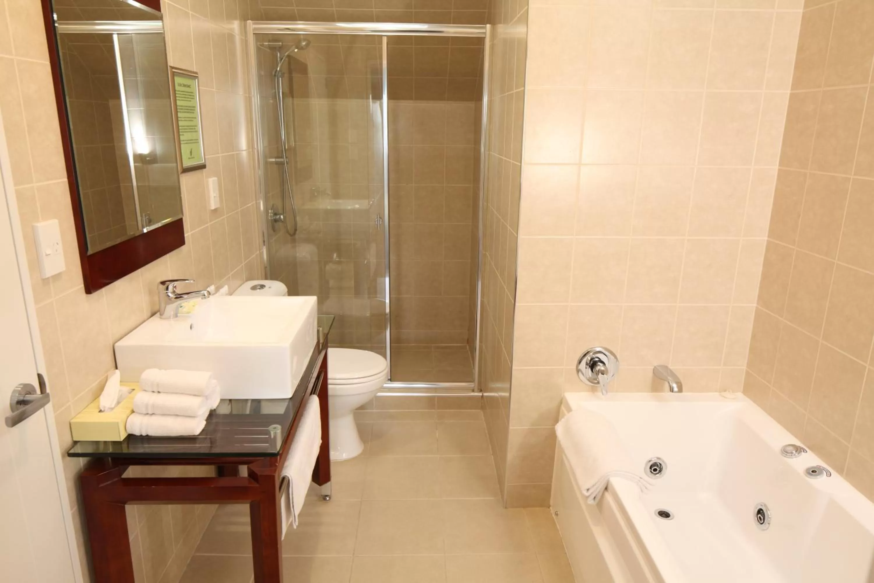 Bathroom in Alpha Motel with Spa-Bath