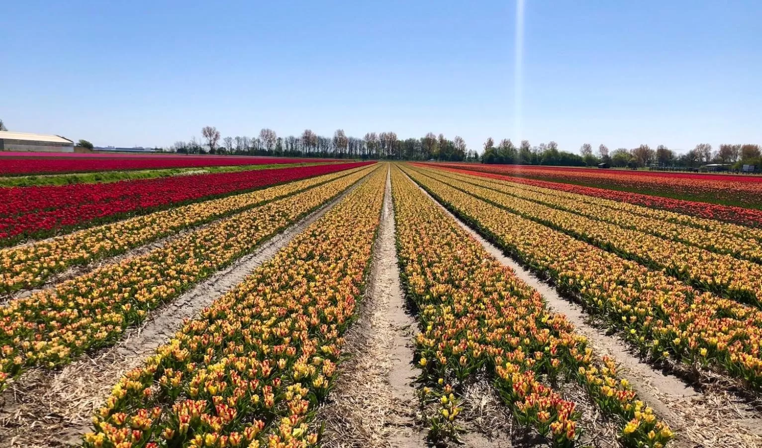Natural landscape in B&B de Cley