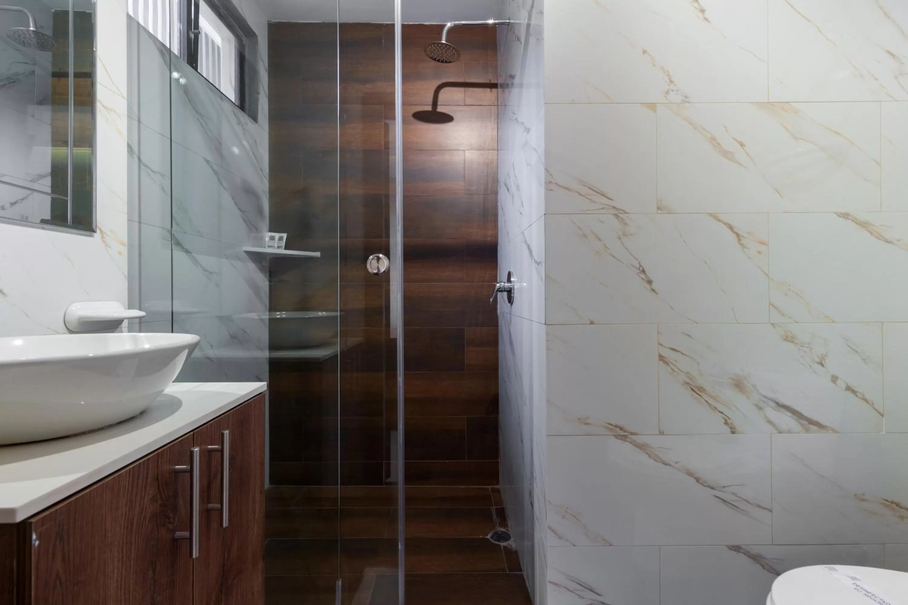 Shower in Hotel Sada