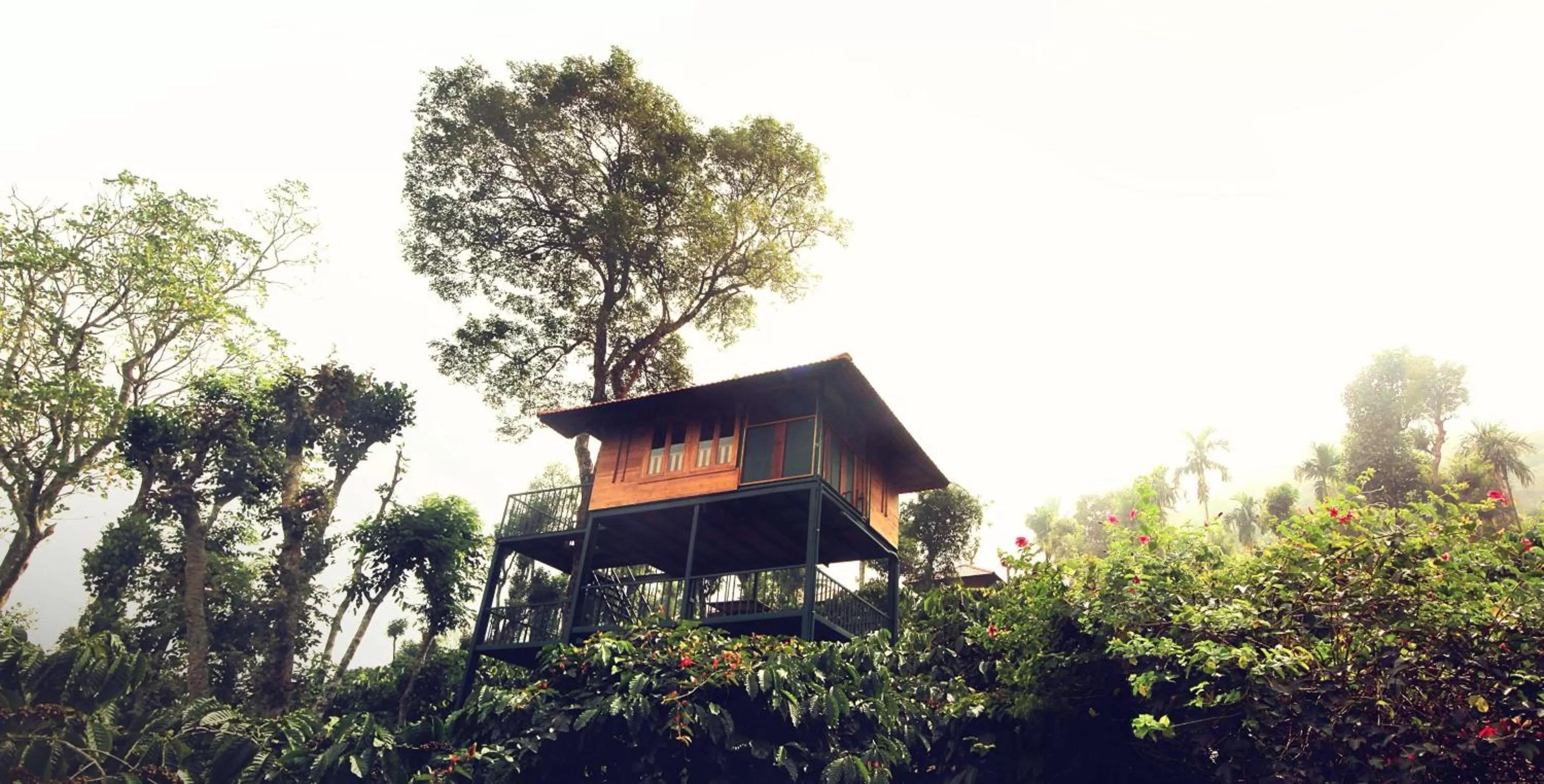 View (from property/room), Property Building in Marmalade Springs Resort Wayanad