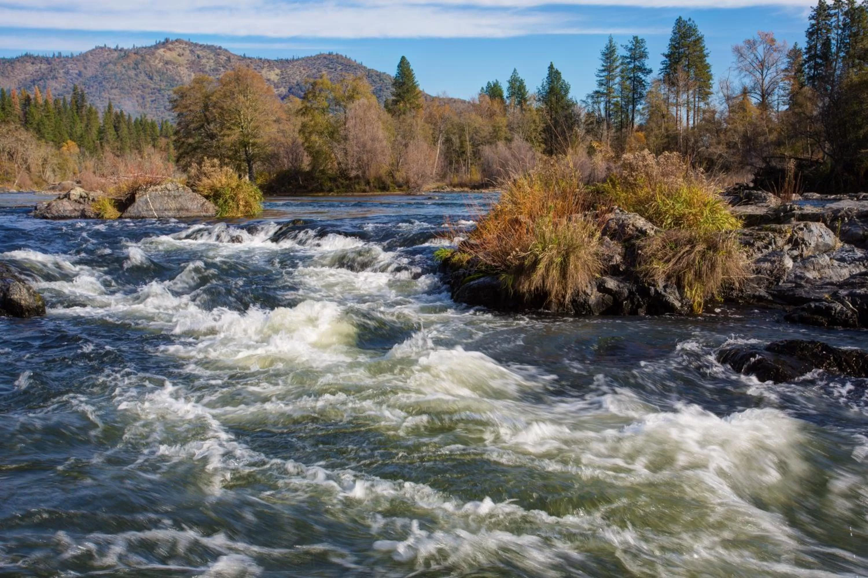 Area and facilities in Candlewood Suites Medford by IHG