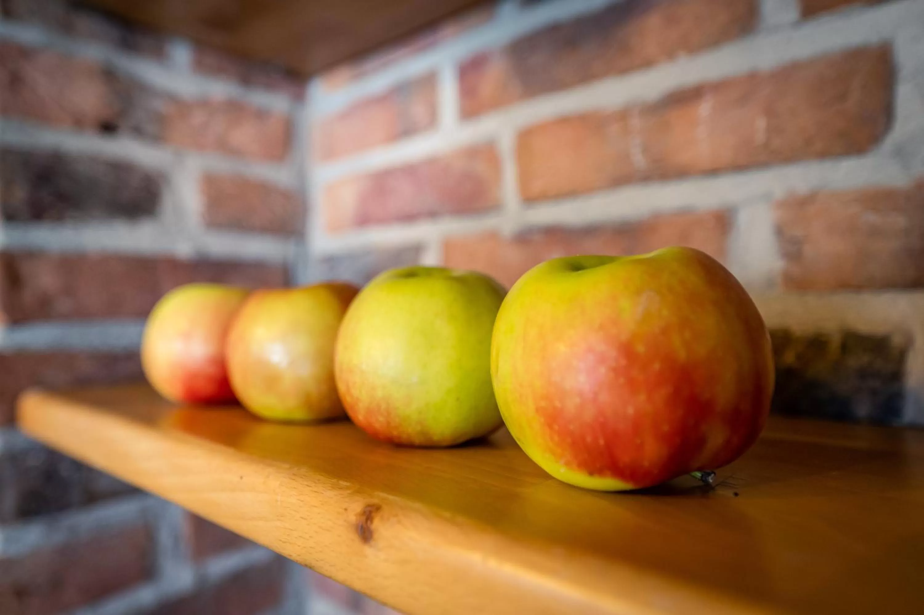 Food in Haus Ferienglück Sauna im Haus