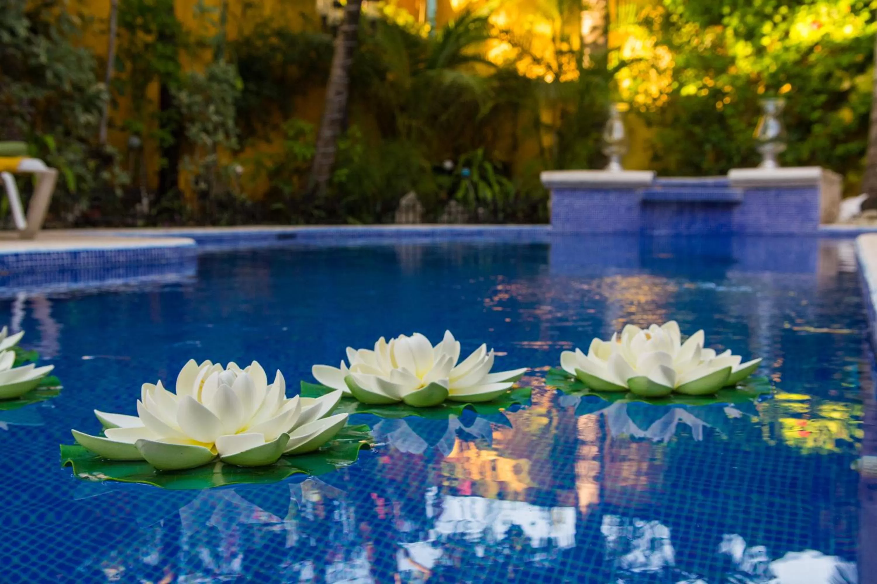 Swimming pool in Hacienda Boutique B&B and Spa Solo Adultos