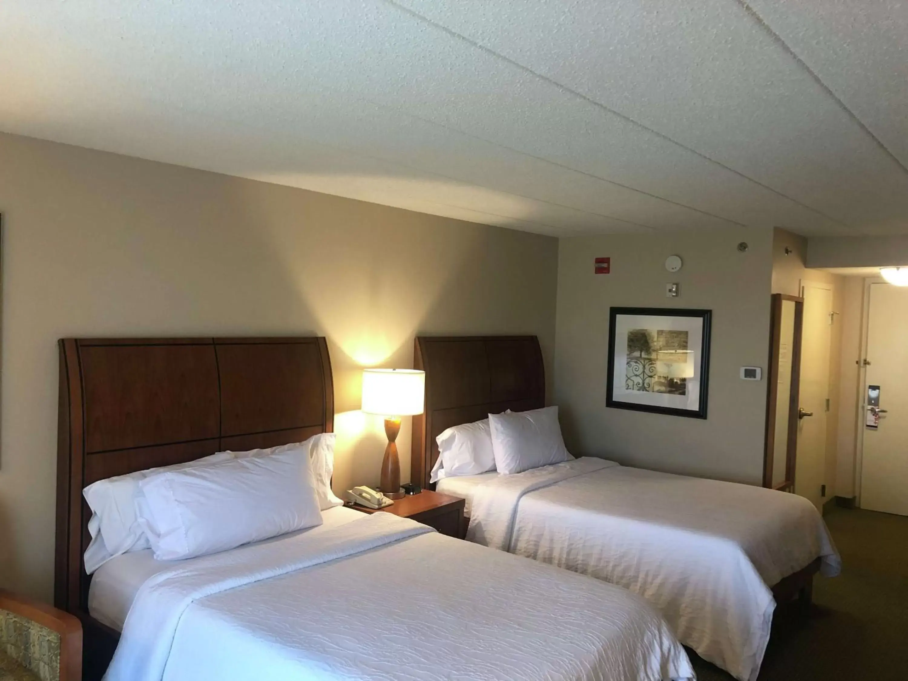 Double Room with Two Double Beds - Hearing Accessible in Hilton Garden Inn Addison Double Room with Two Double Beds - Hearing Accessible in Hilton Garden Inn Addison