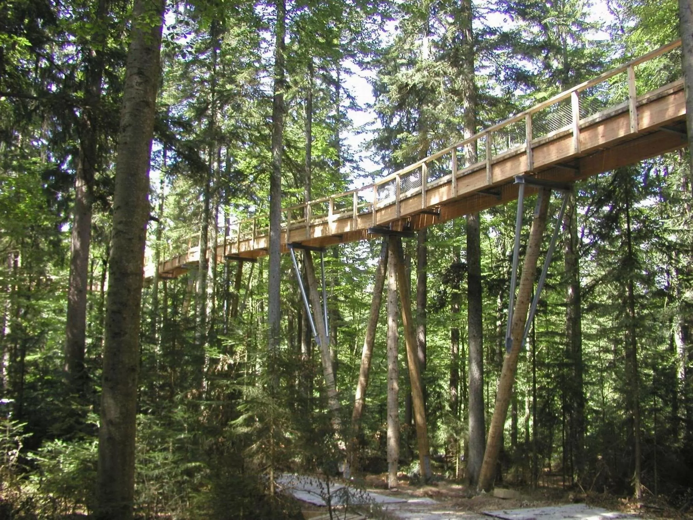 Area and facilities in Vitalesca