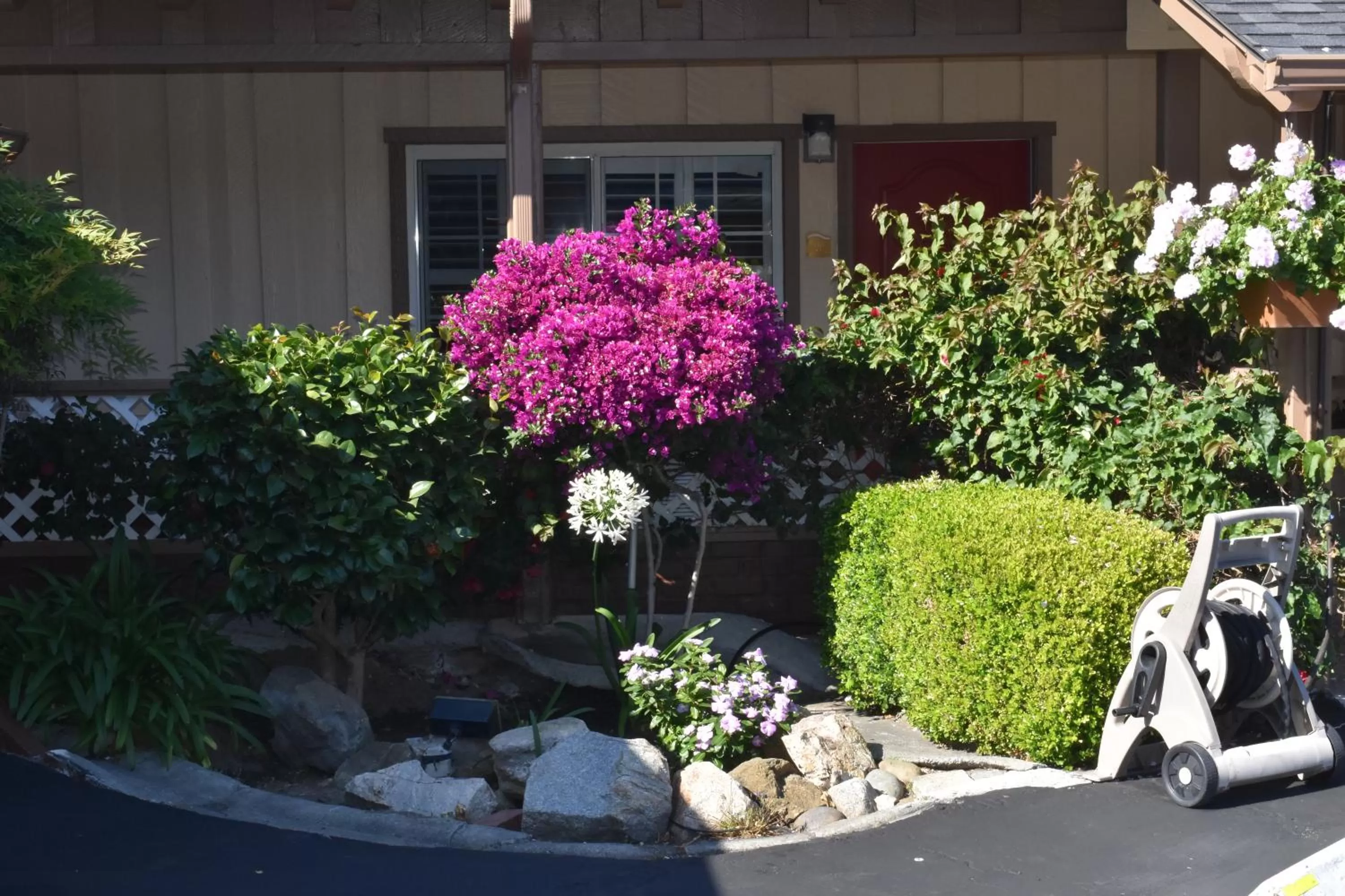 Property building in Padre Oaks