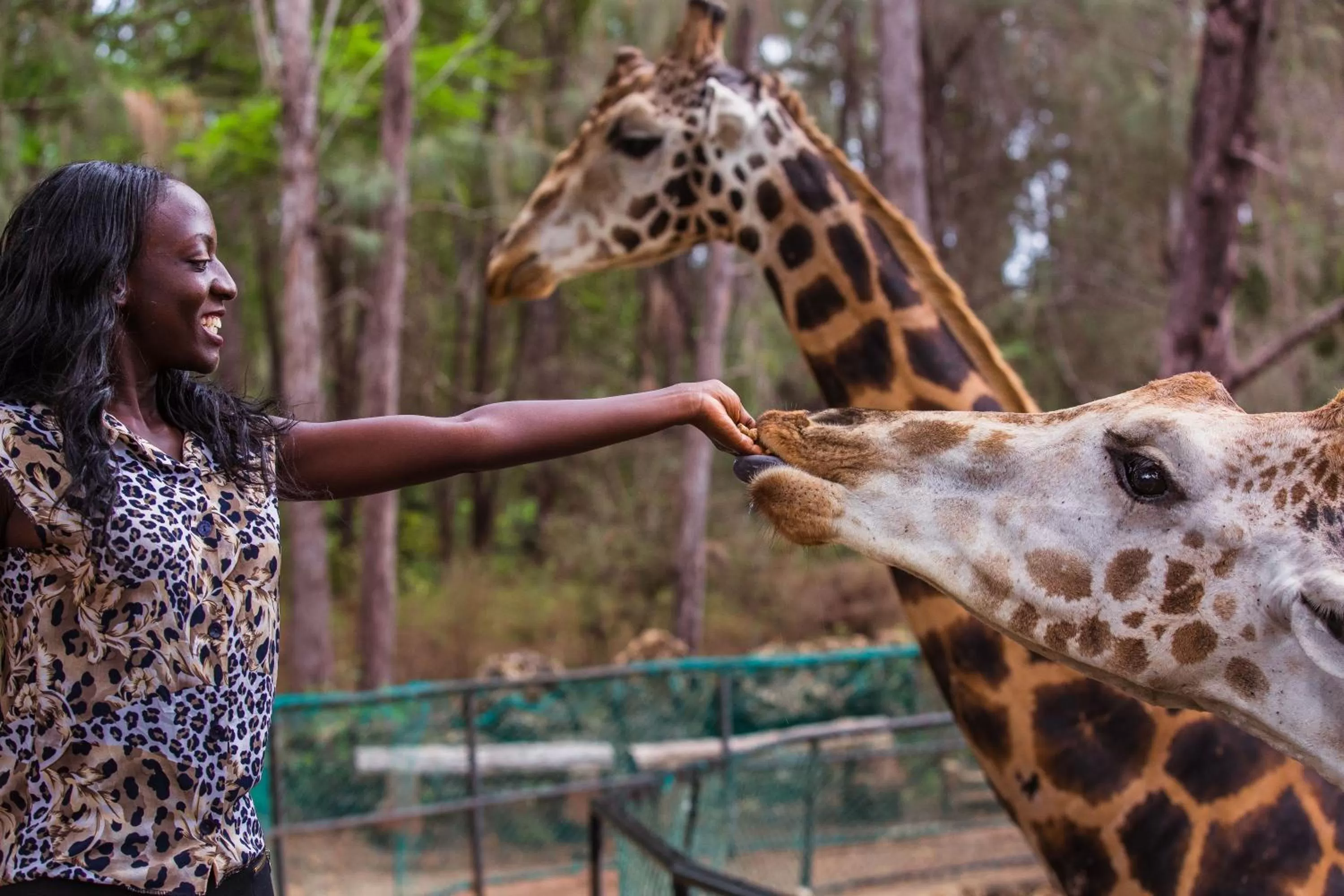 Pets in Reef Hotel Mombasa