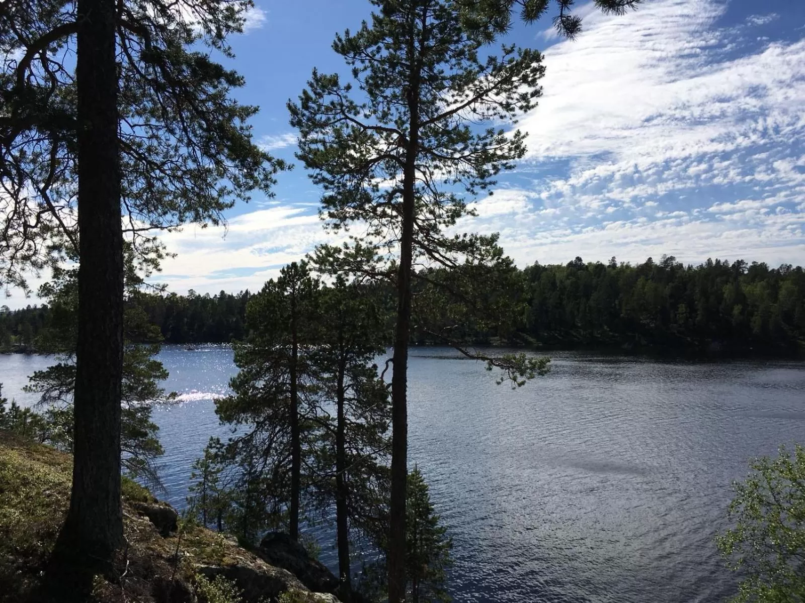 Neighbourhood in Wilderness Hotel Nangu & Igloos