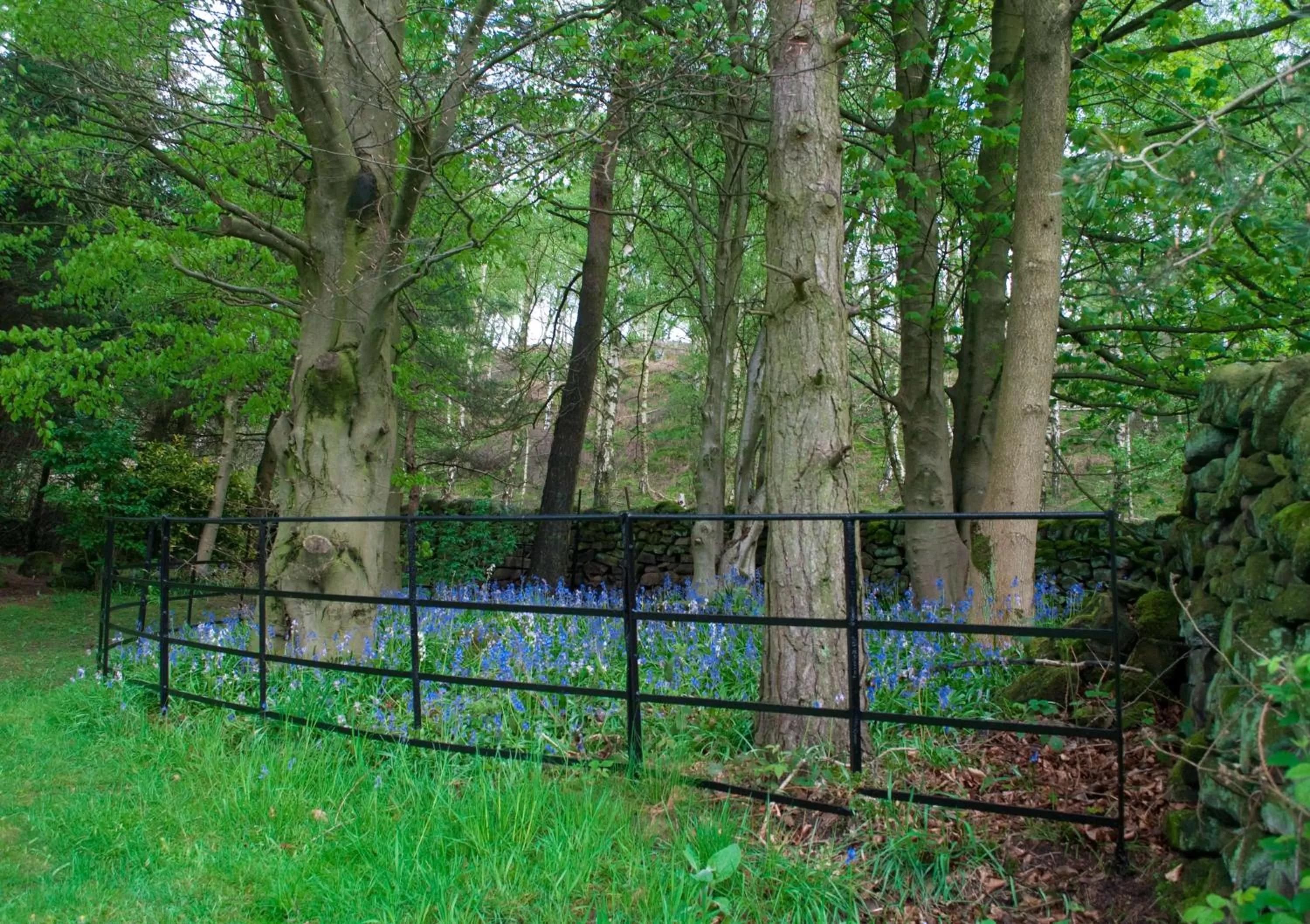 Garden in Robin Hood Farm B&B