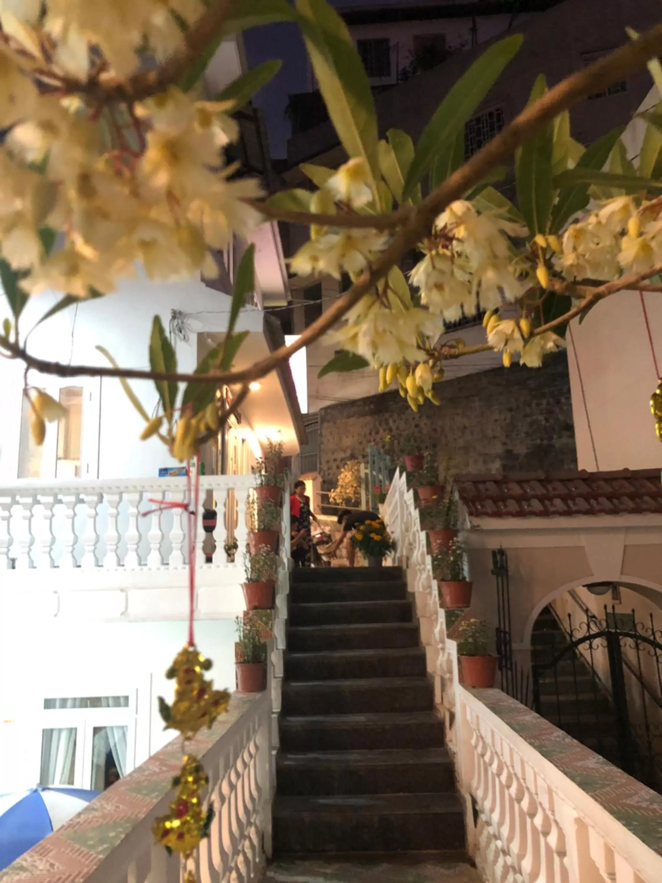 Balcony/Terrace in Villa - Hotel Nam Khang 2 Dalat