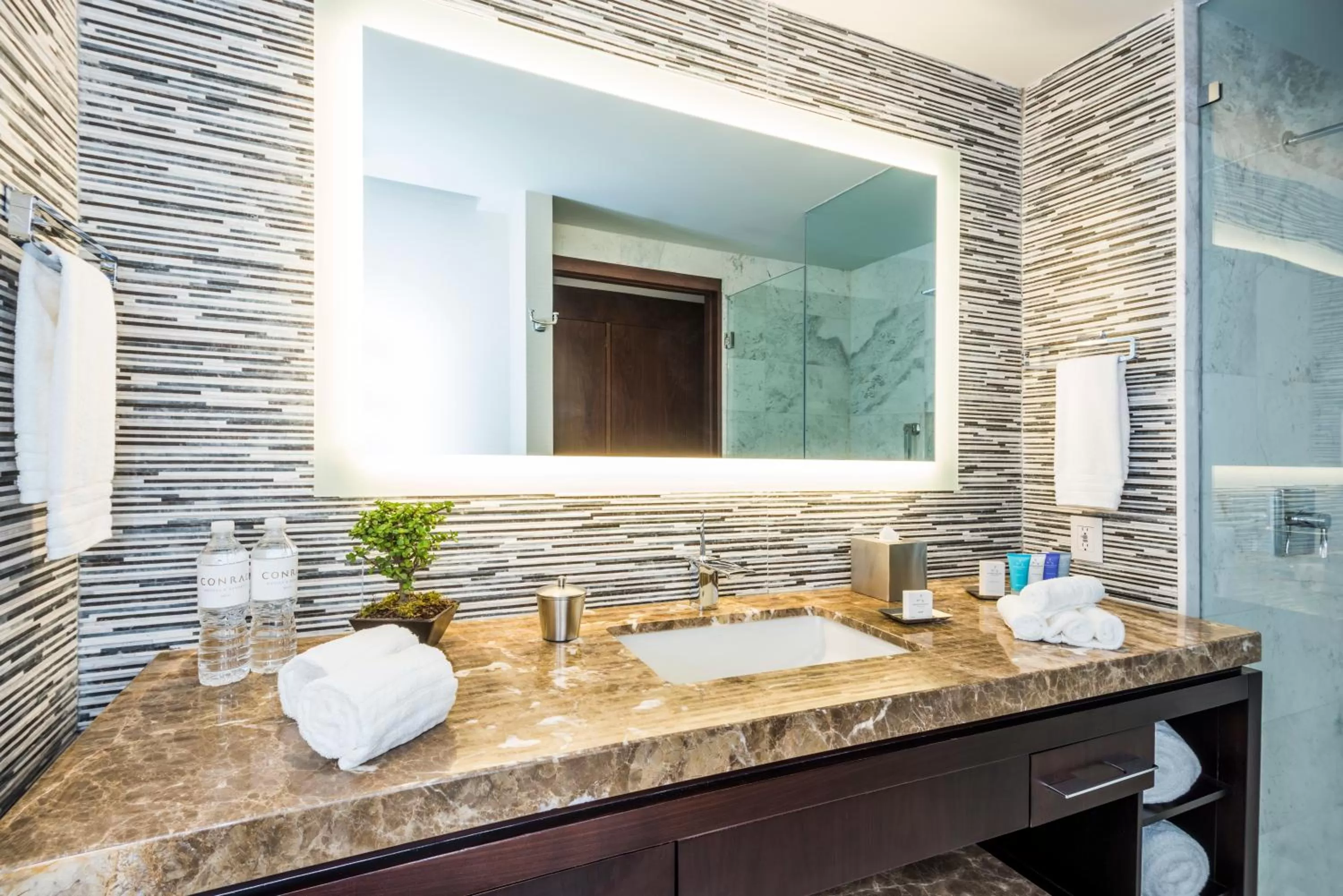 Bathroom in Hyatt Regency San Luis Potosi