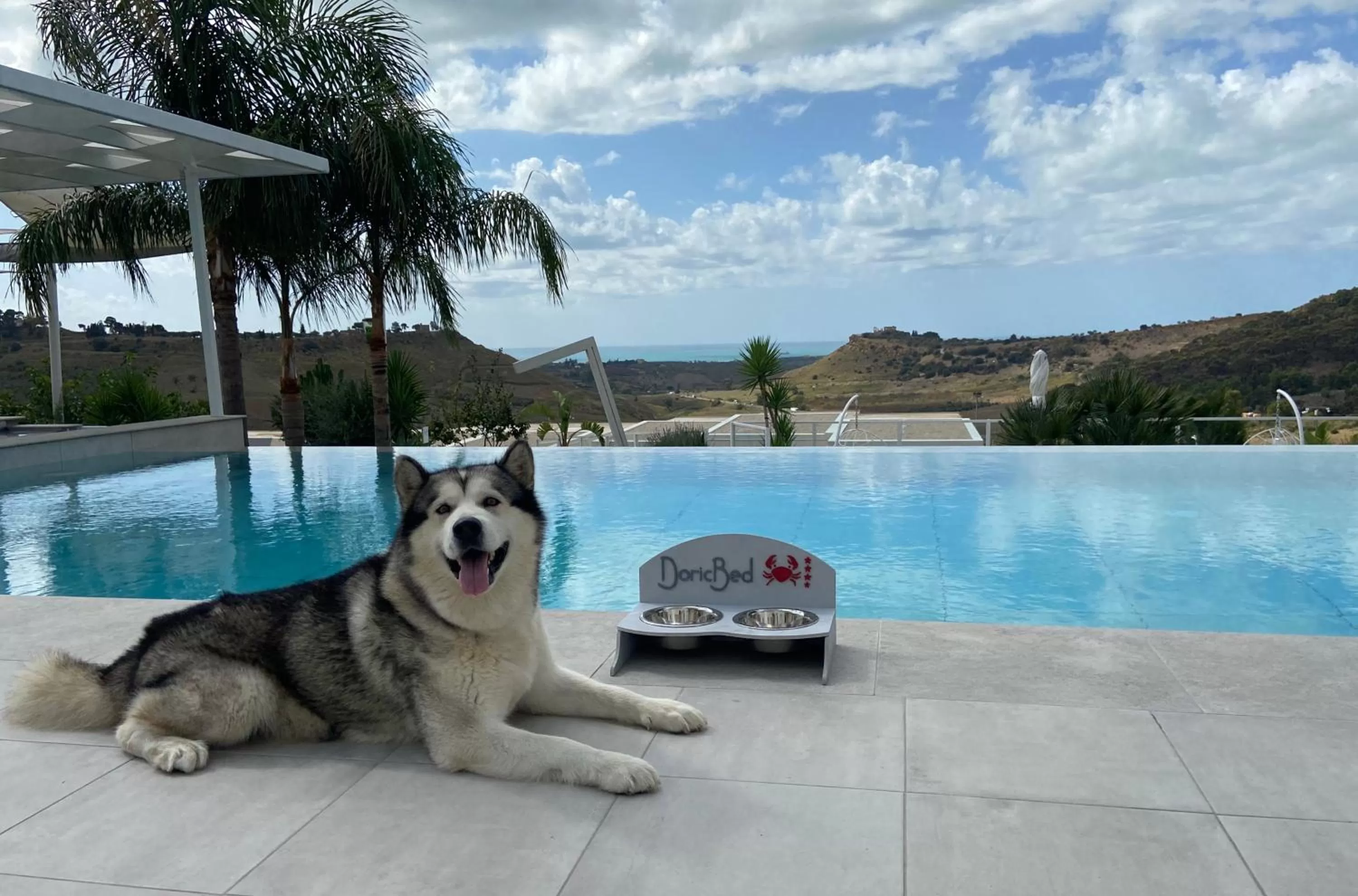 Pets in Doric Eco Boutique Resort & Spa - Sicily