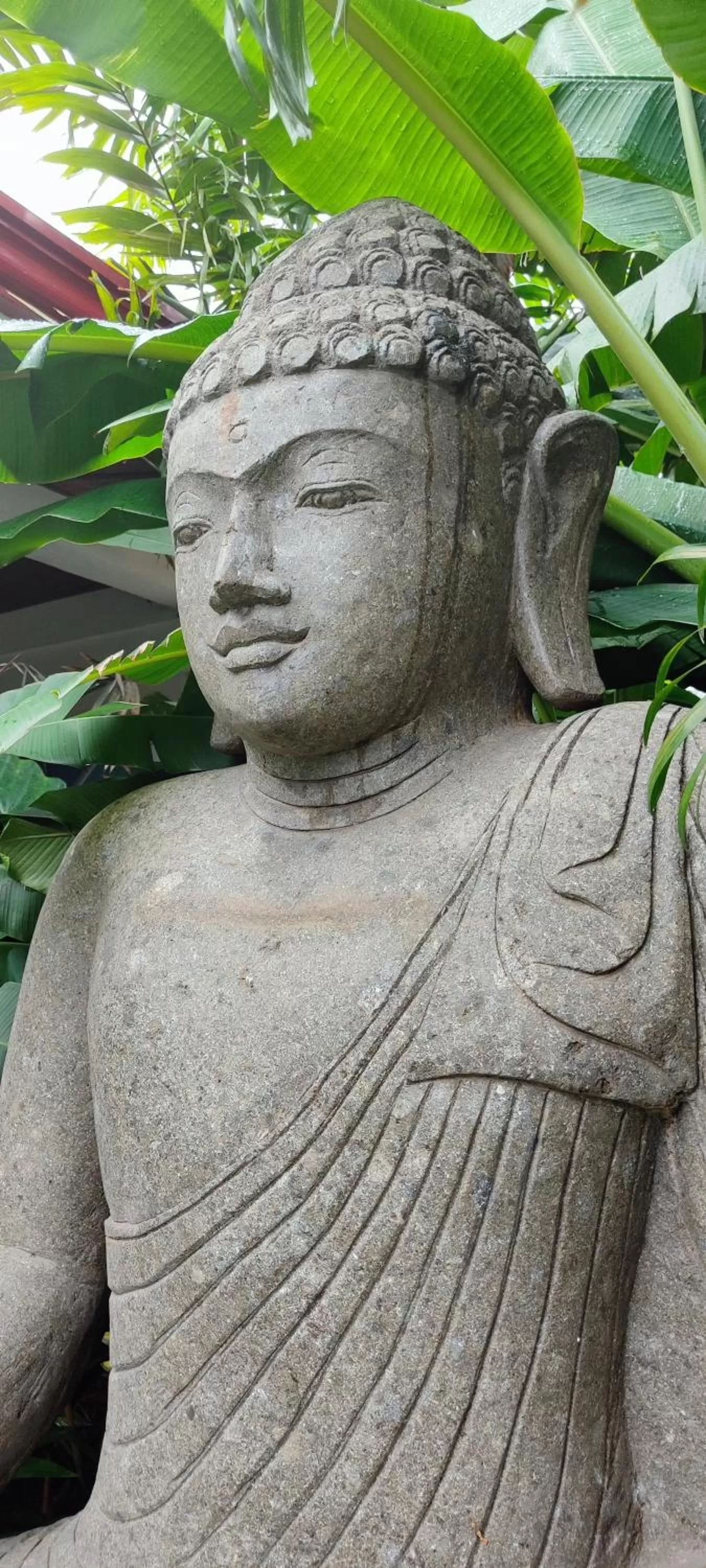 Garden in Carpe Diem Villas & Resort Dive & Stay resort