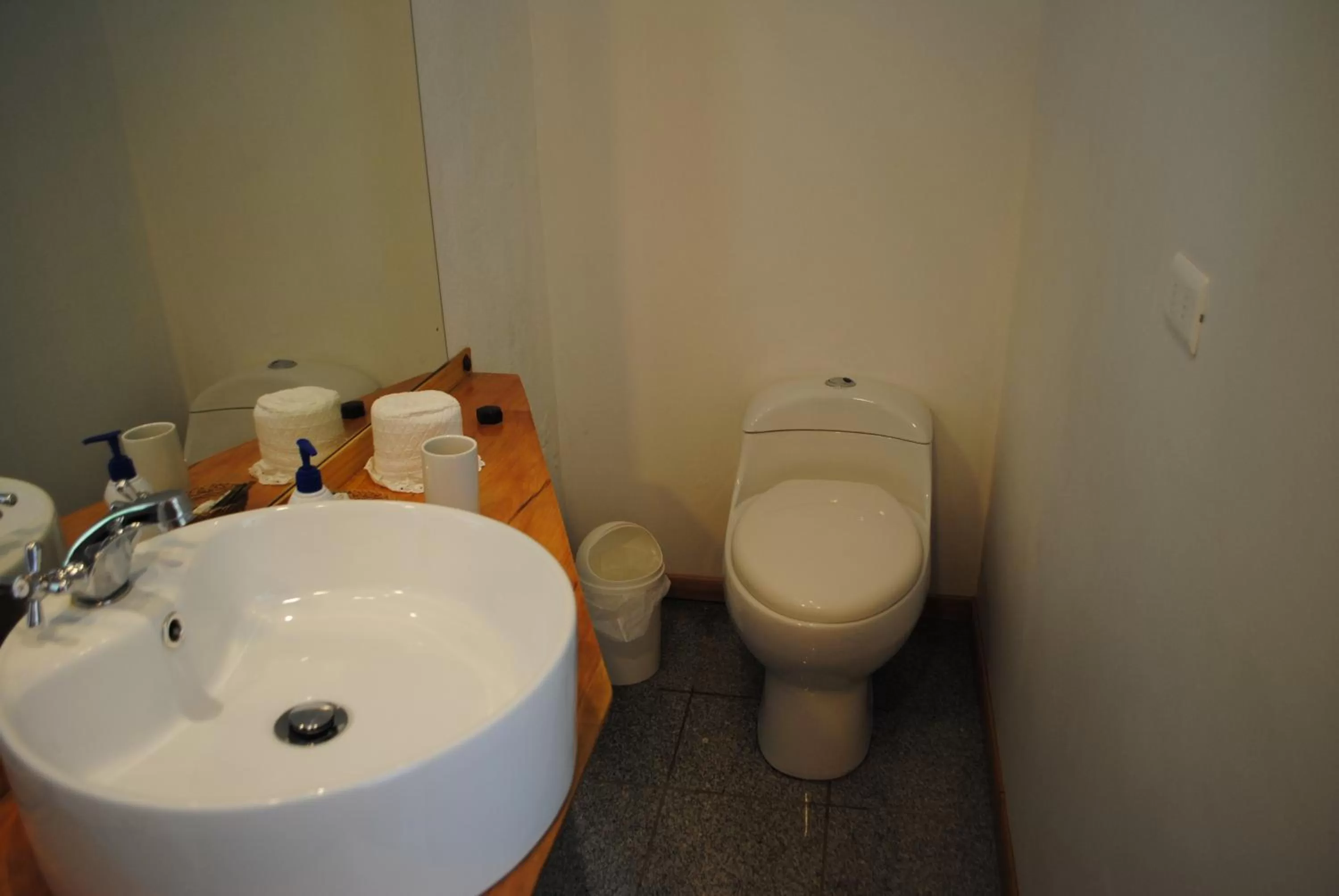 Decorative detail, Bathroom in Hostería de la Patagonia