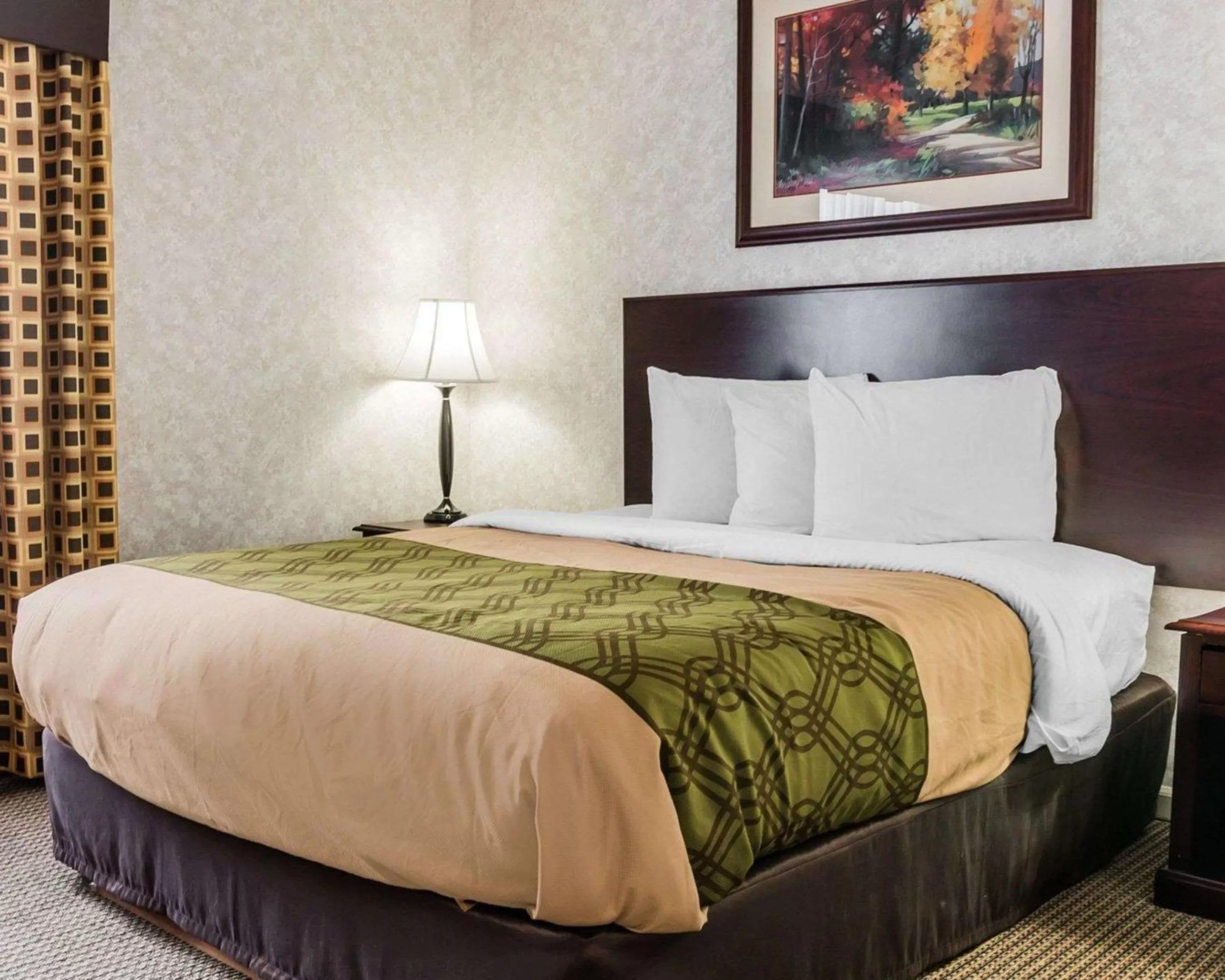 Photo of the whole room, Bed in Econo Lodge & Suites Grand Rapids Airport