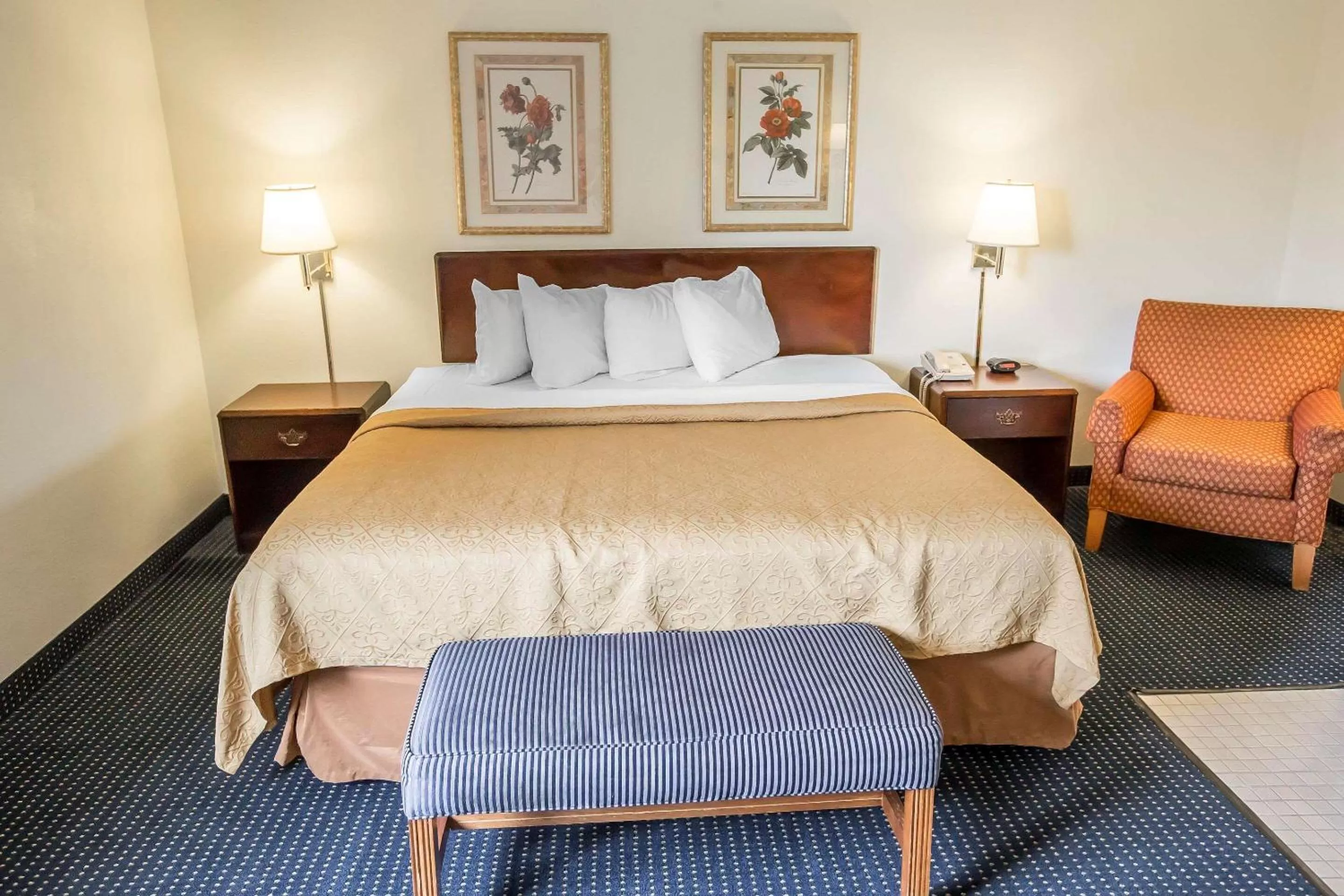 Bedroom, Bed in Quality Inn Dundee