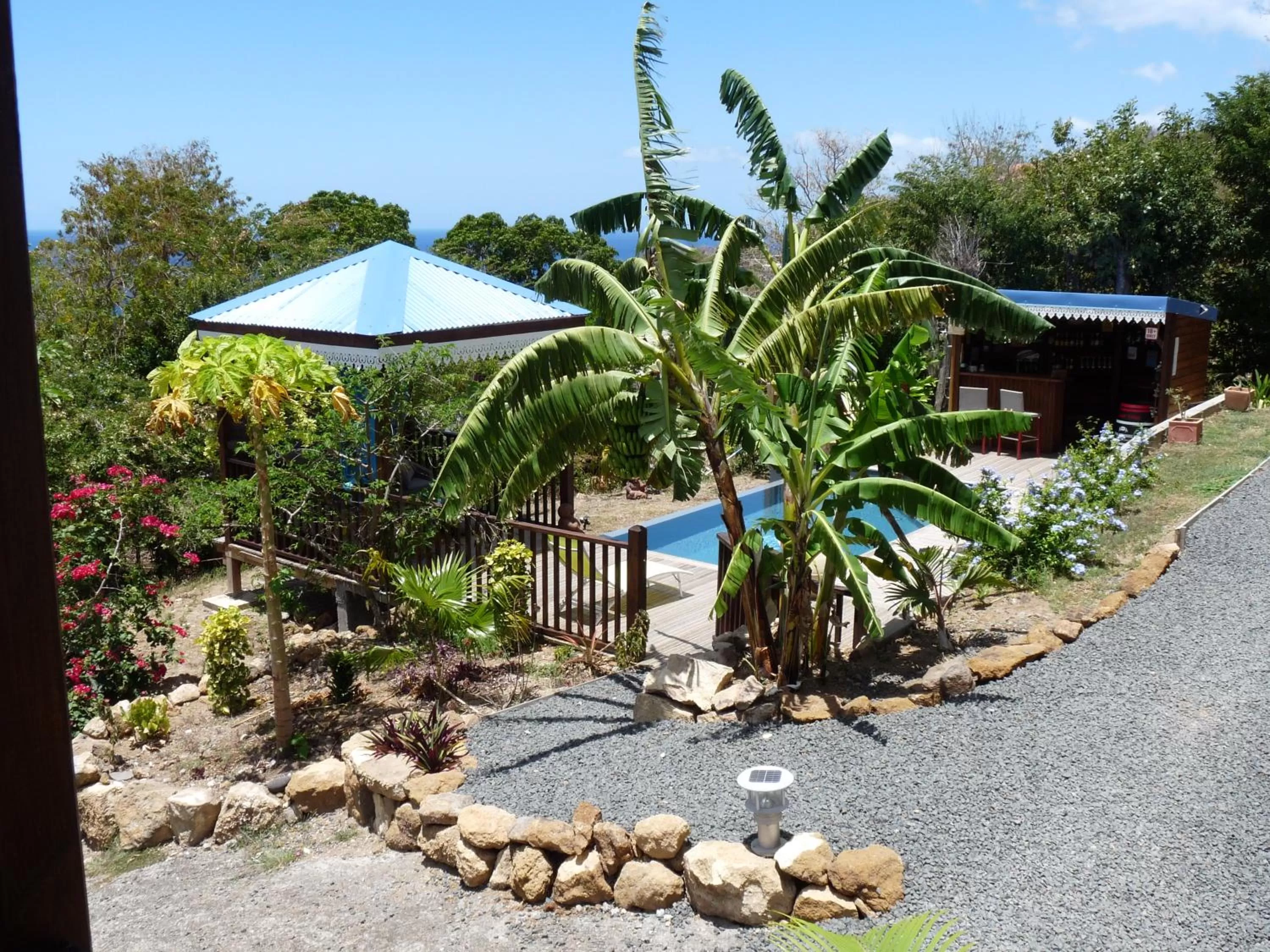 Pool view in BUNGALOW La Tortue Bleue