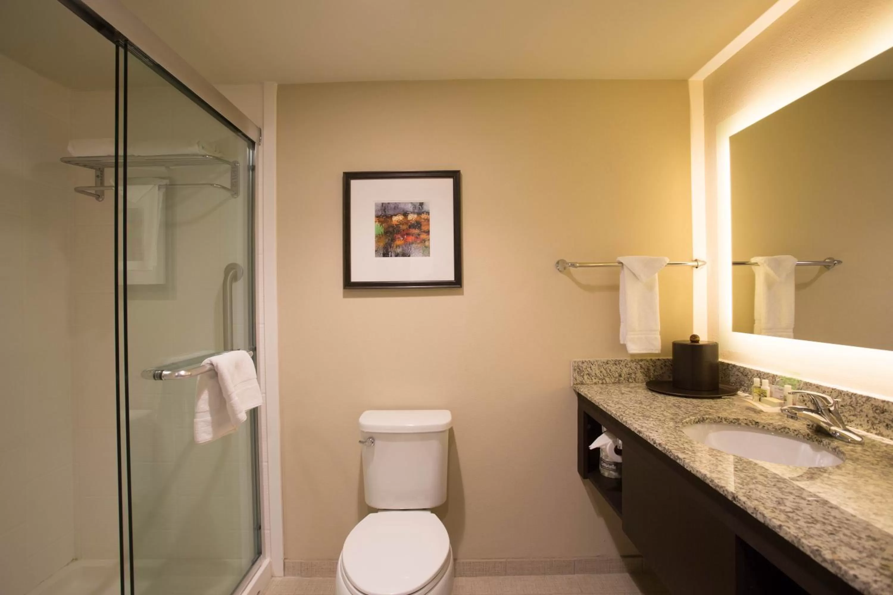 Bathroom in Holiday Inn Murfreesboro by IHG