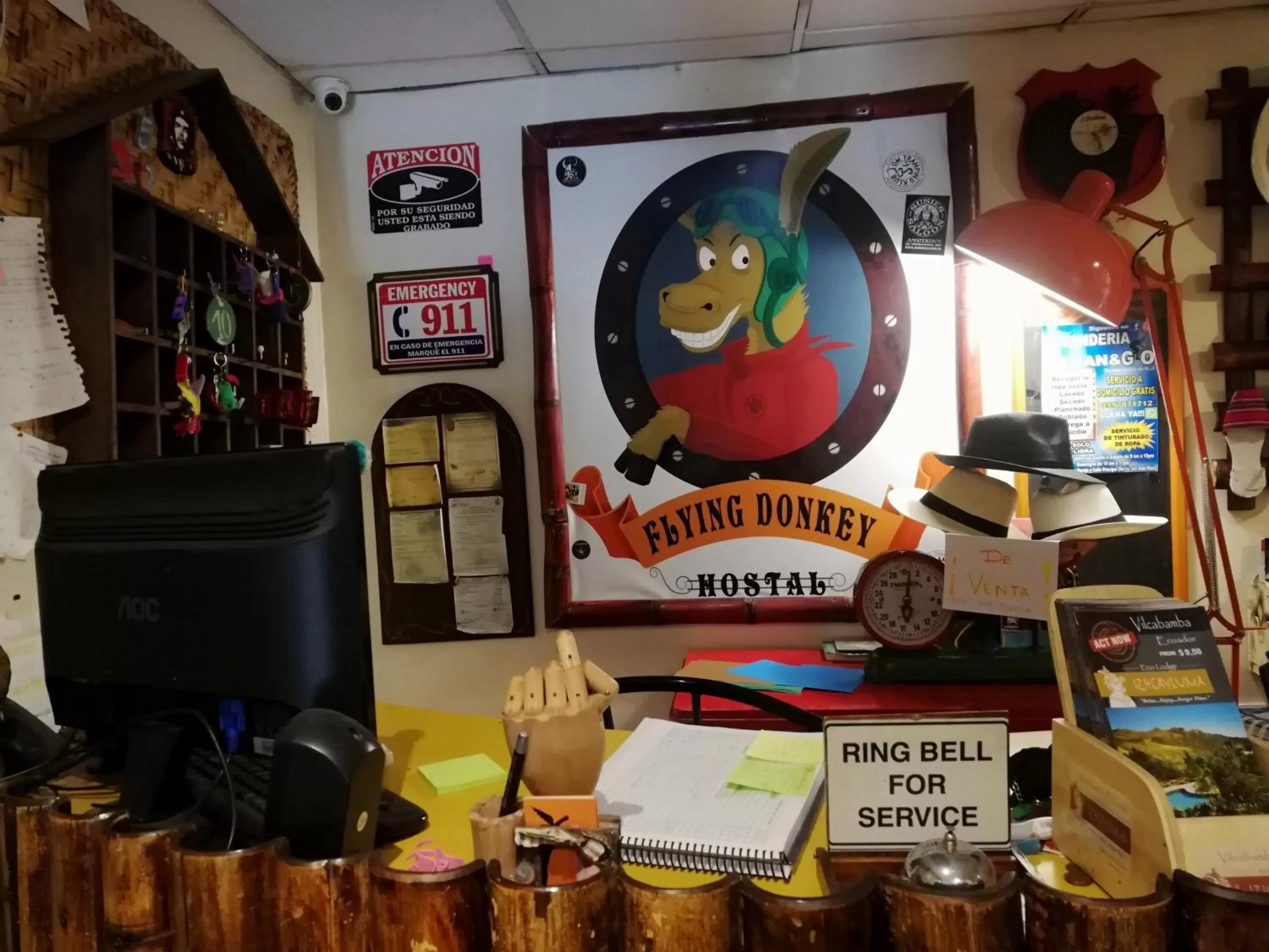 Lobby or reception in Flying Donkey