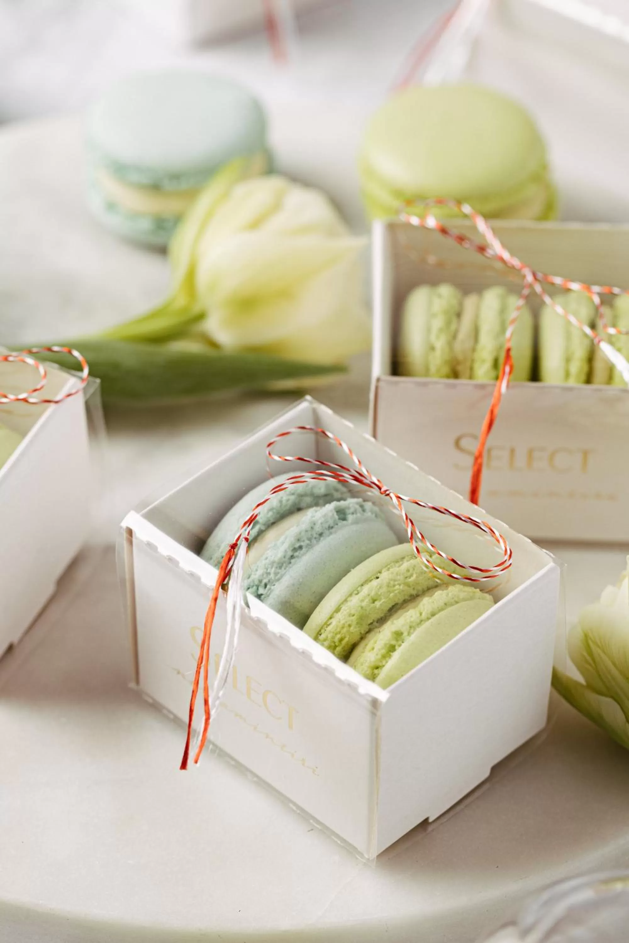 Food in Hotel Select