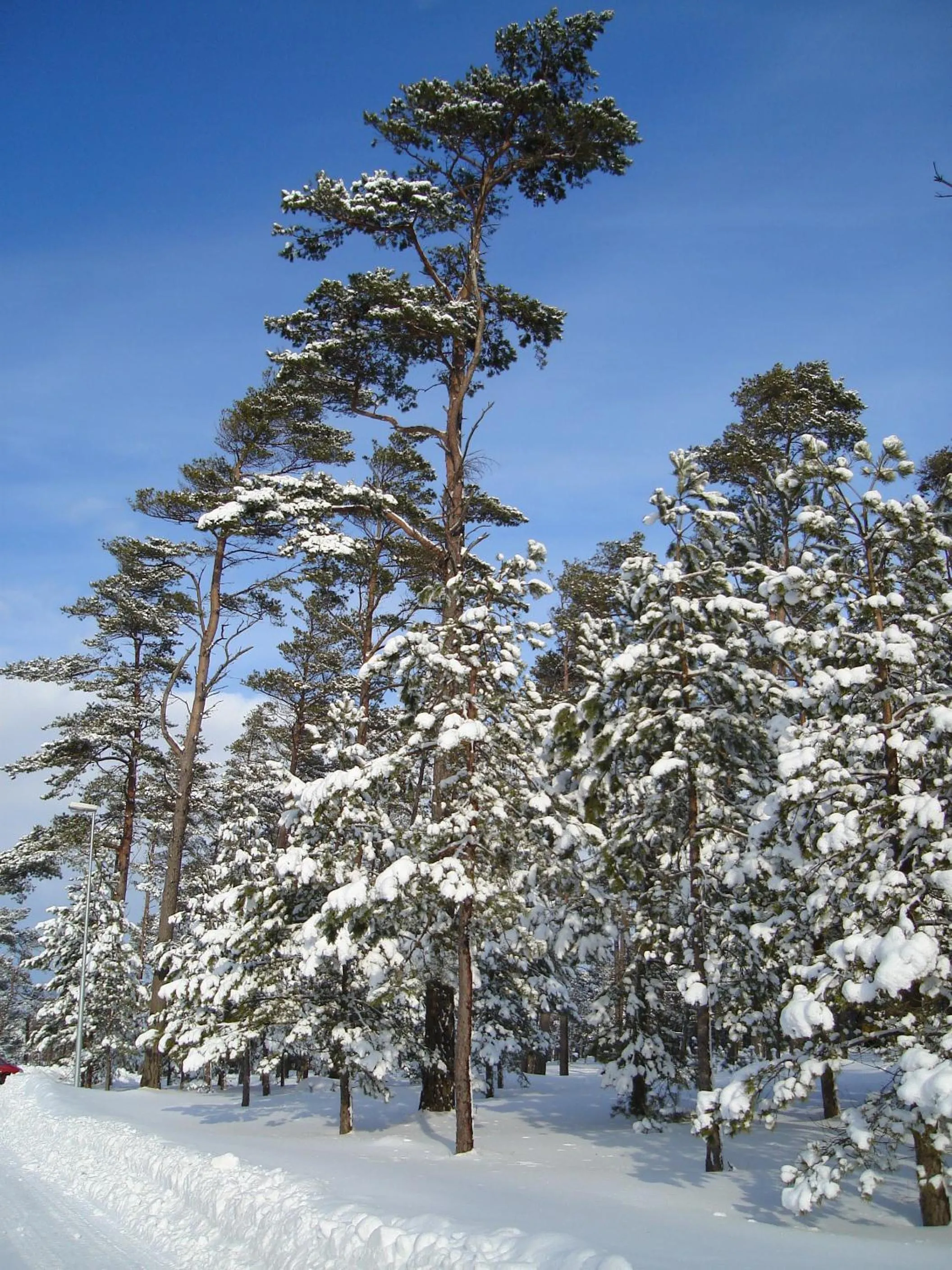 Area and facilities in Tylebäck Hotell & Konferens, BW Signature Collection