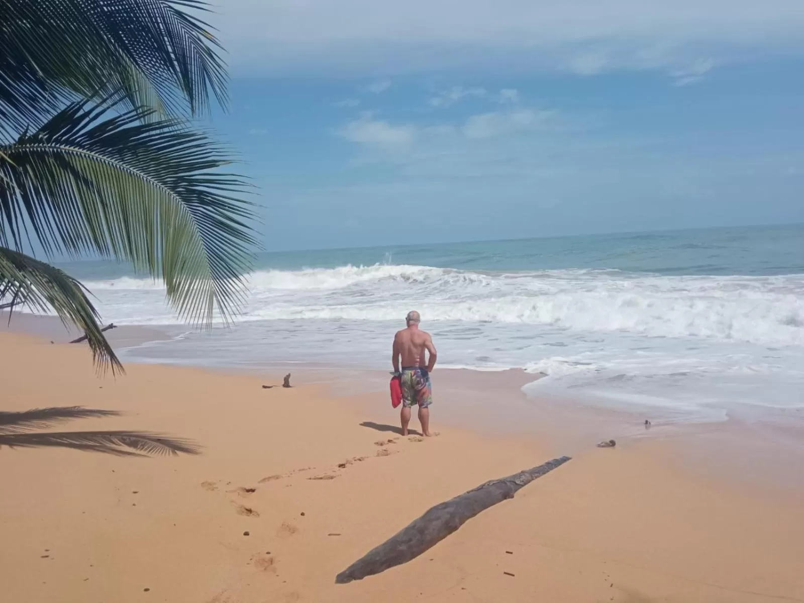 Beach in La Luciernaga Big Creek