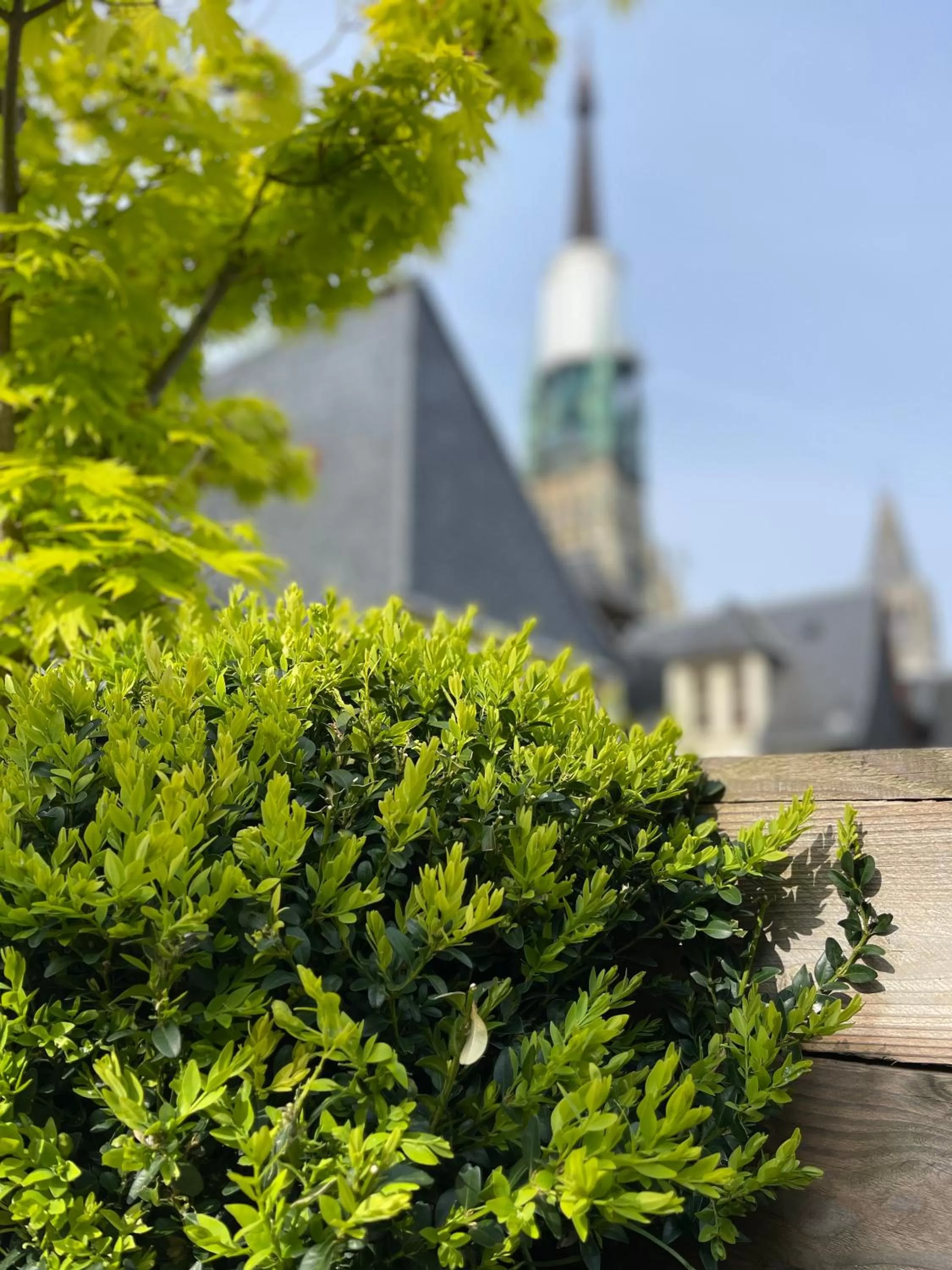 Patio in Hôtel De La Cathédrale