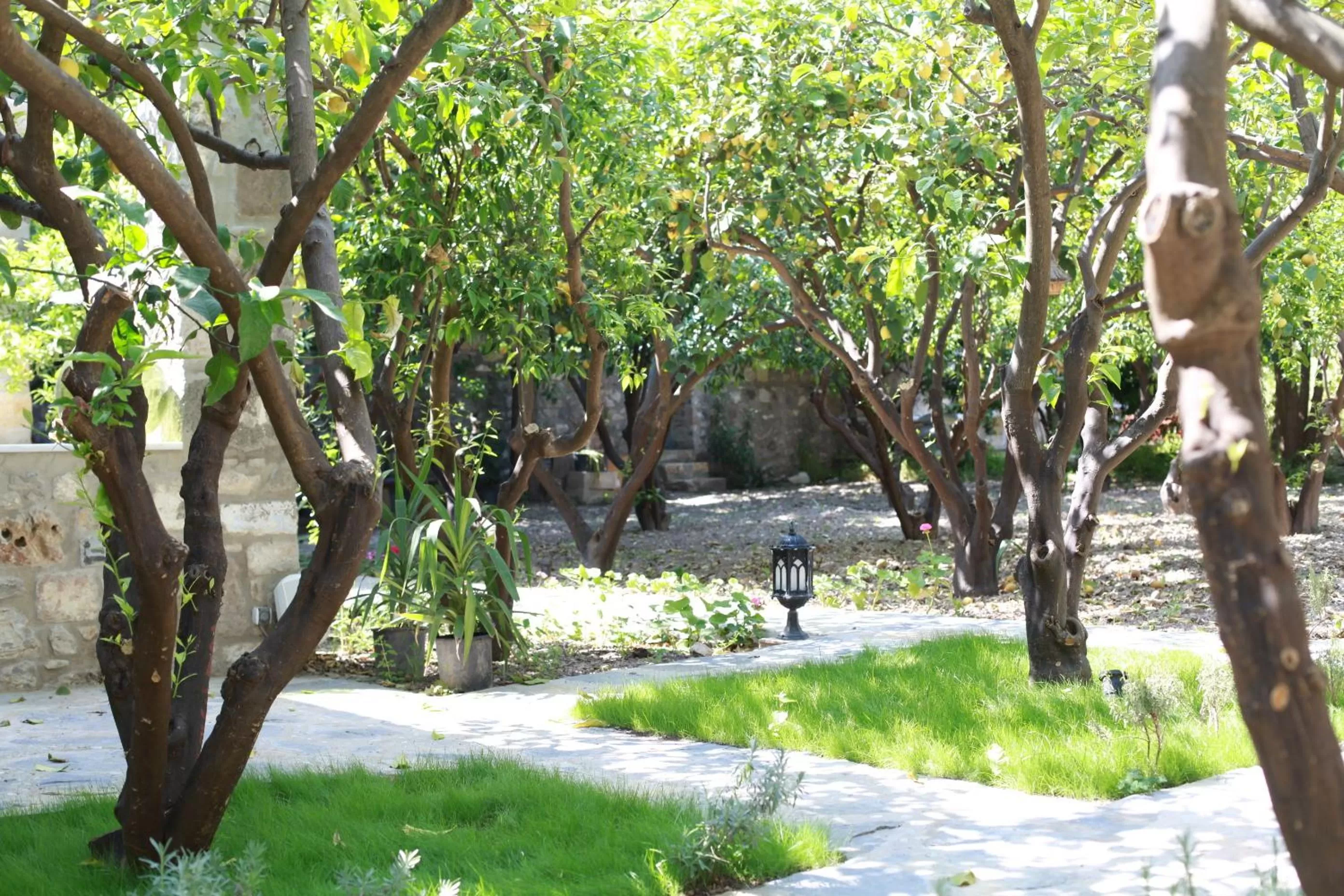 Spring, Garden in Ha La Bodrum