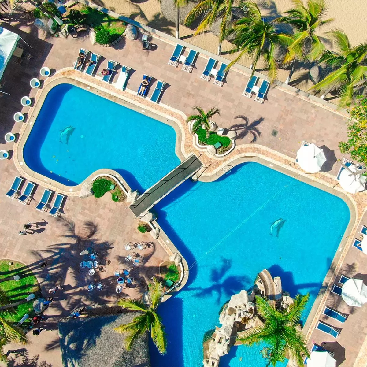 One-Bedroom Apartment (6 Adults) in Luna Palace