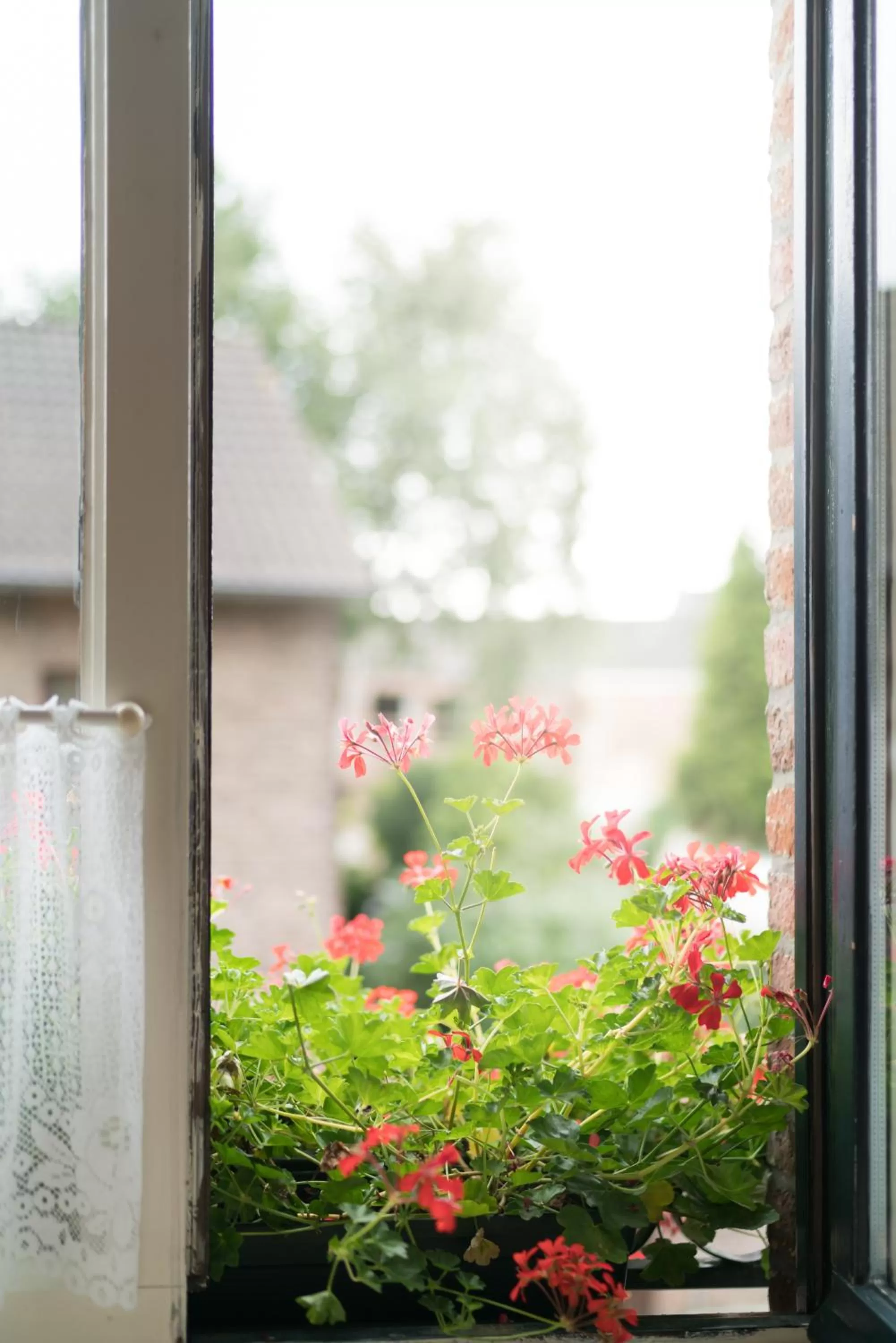 Summer, Garden in Gasterij de Poort
