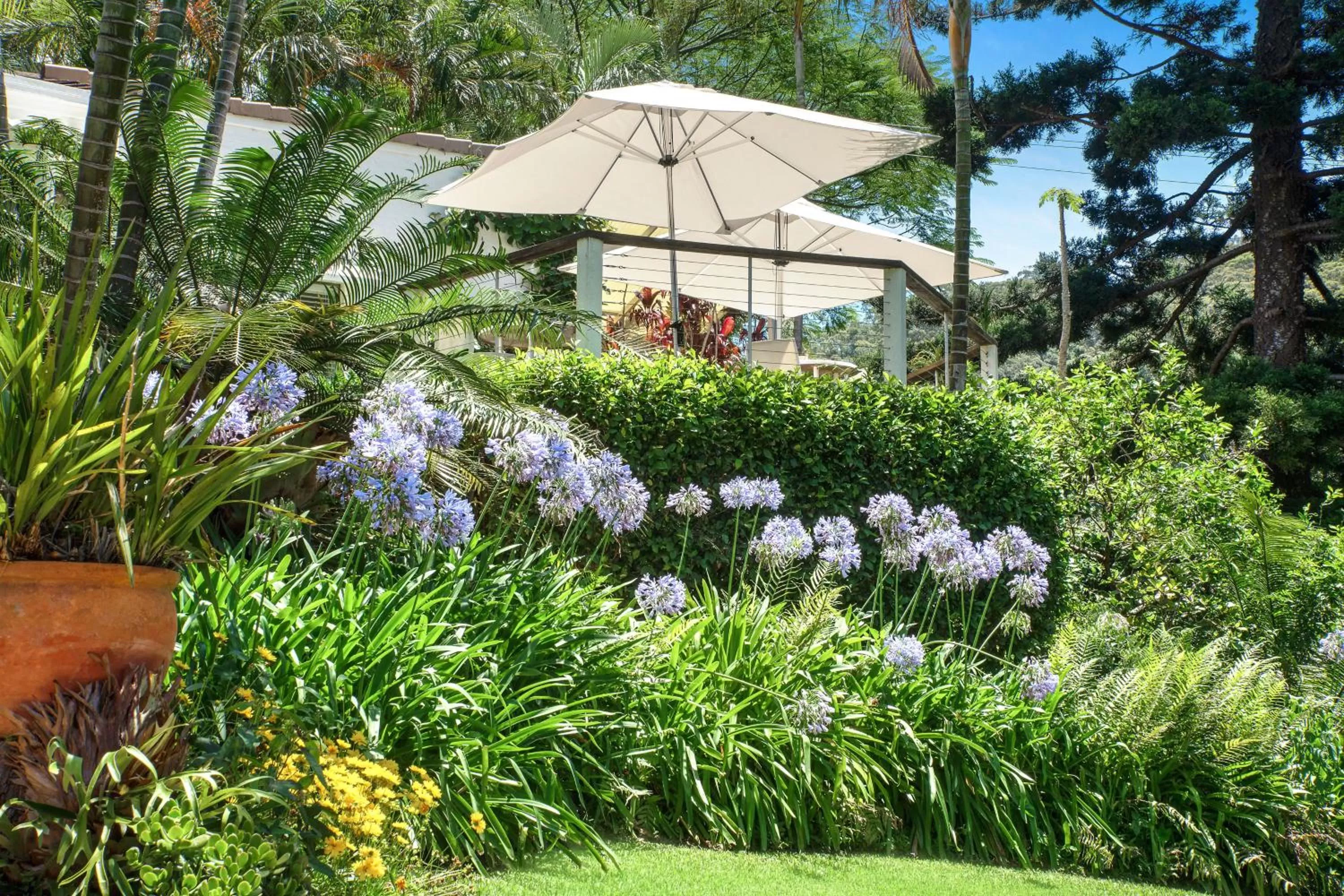 Garden in Sensom at Sapphire - Adults only B&B