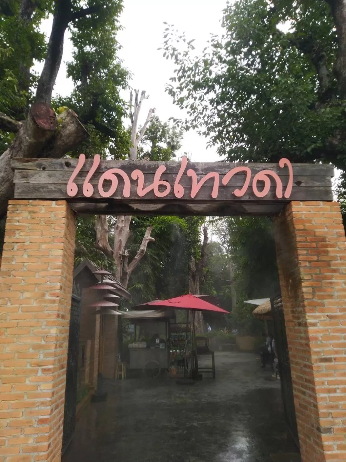 group of guests, Property Logo/Sign in THAI HOTEL CHIANGMAI